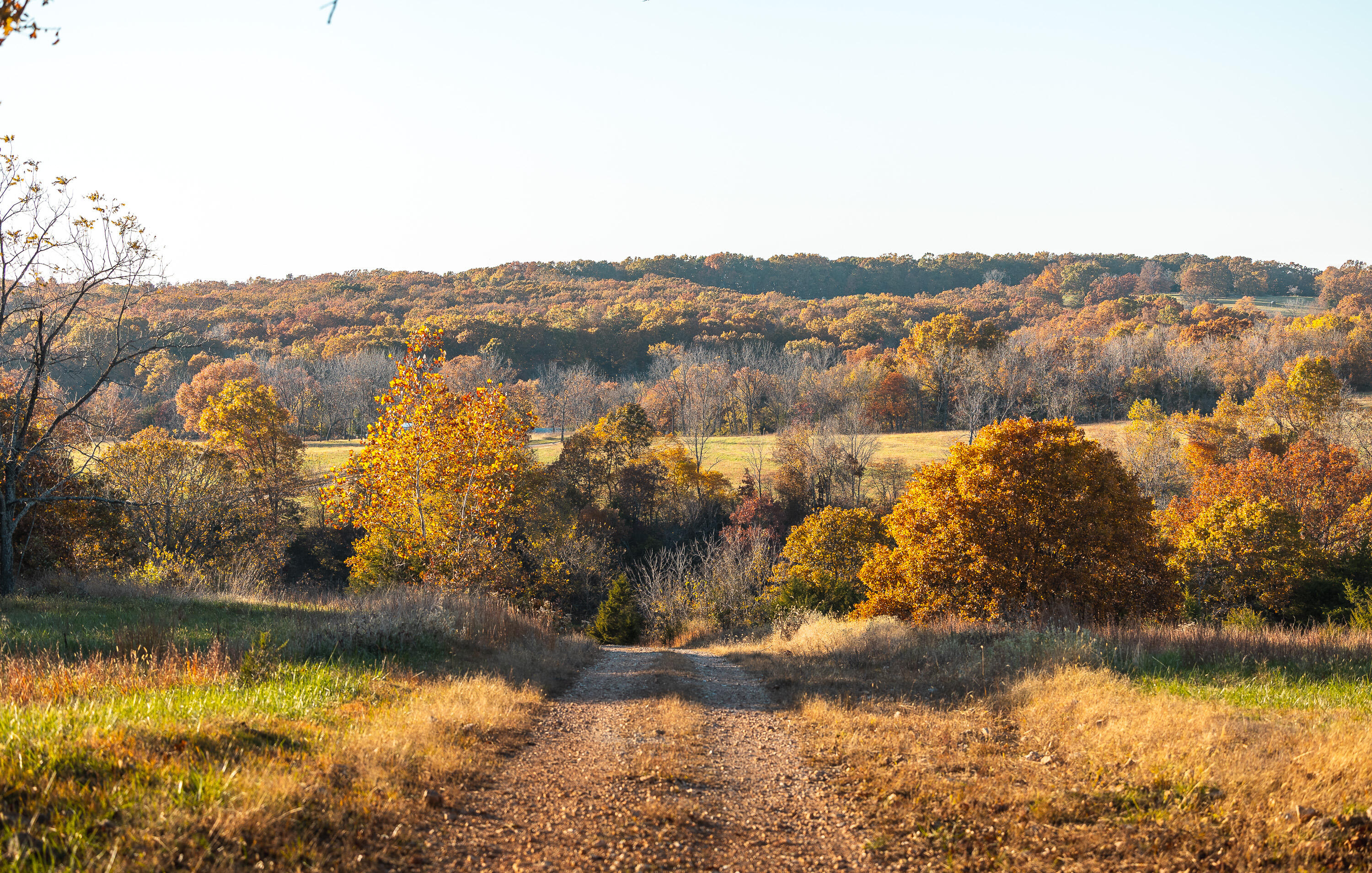 main property photo 56
