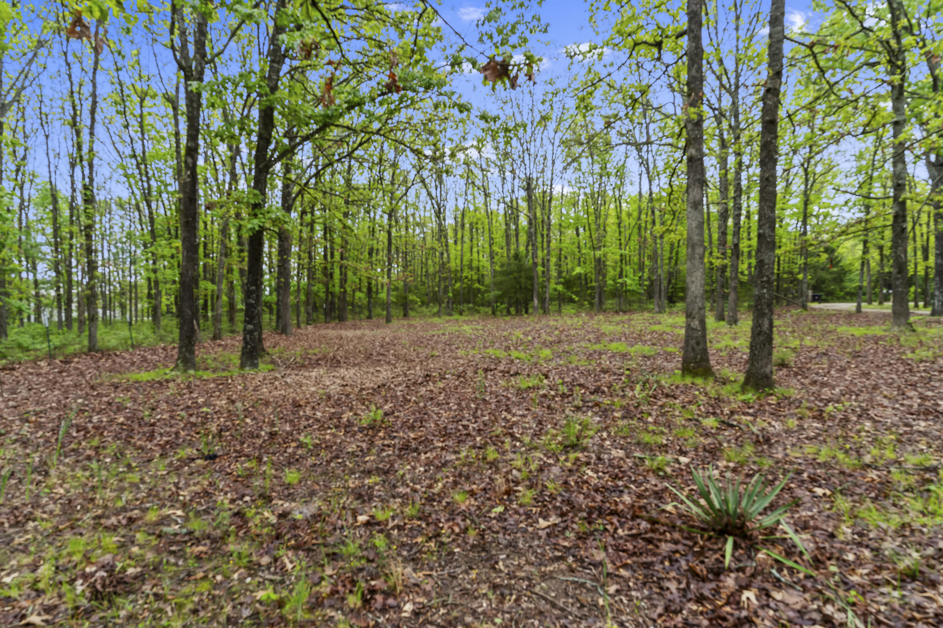 property viewer photo 23