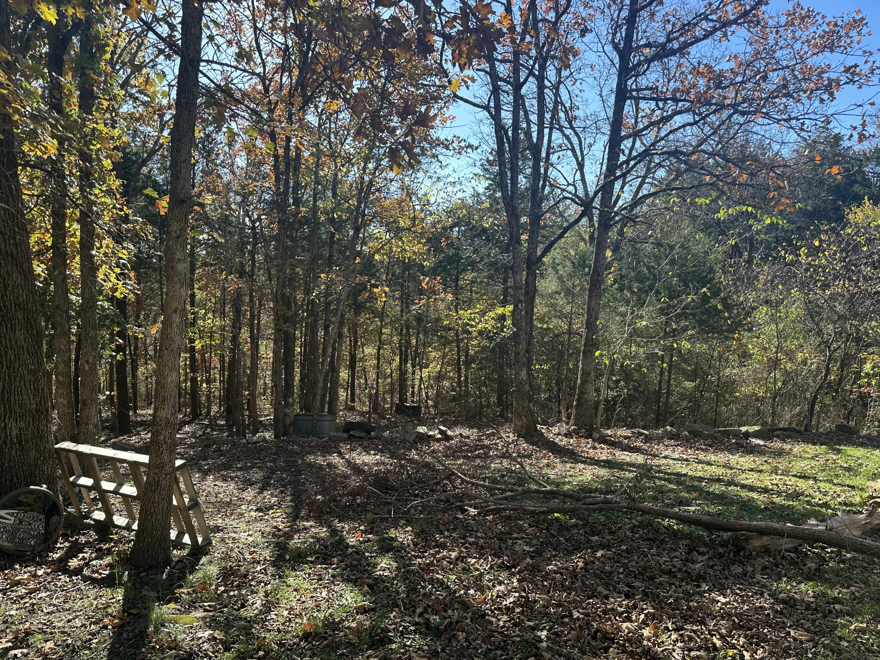 main property photo 6