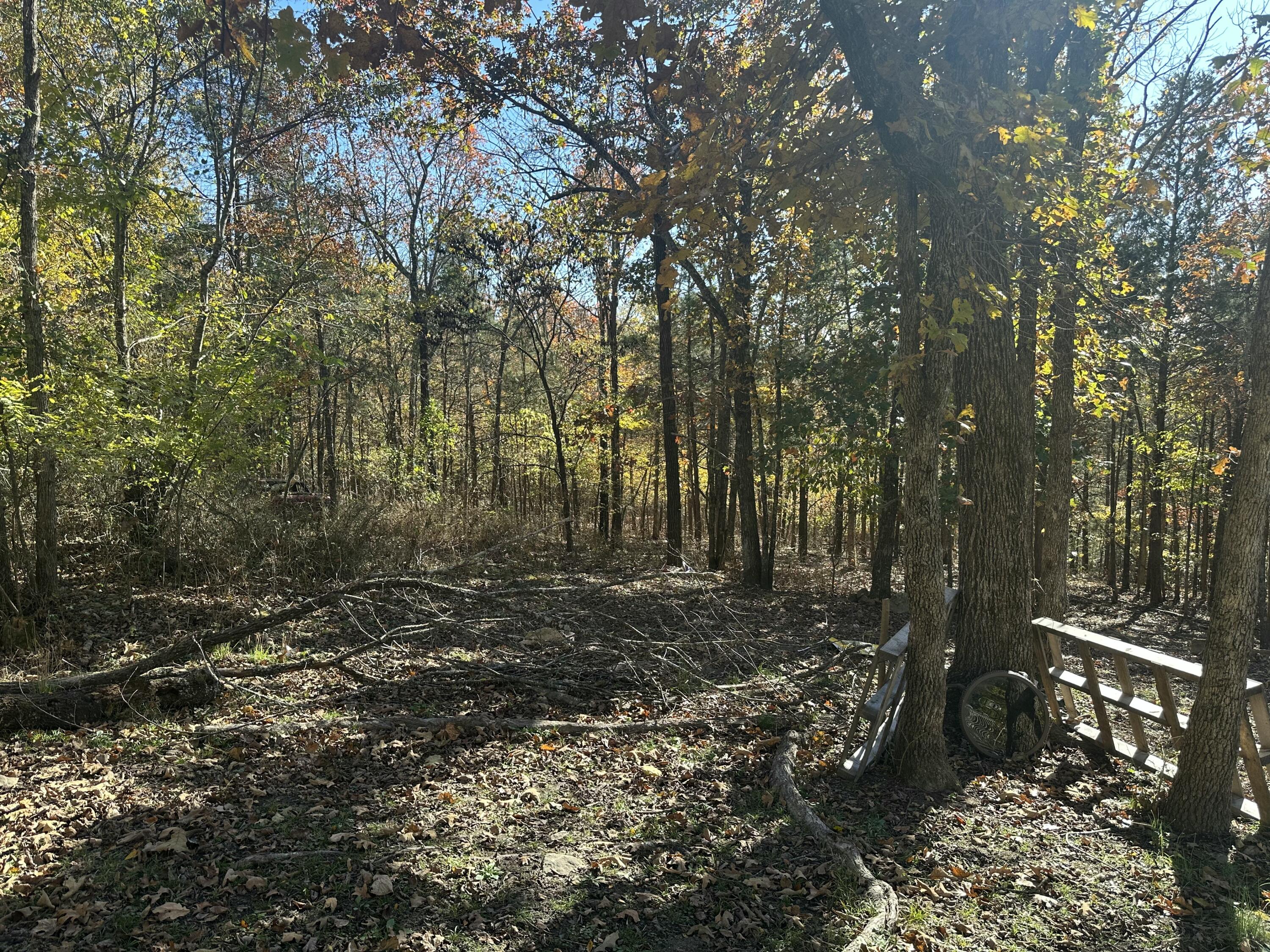 main property photo 7