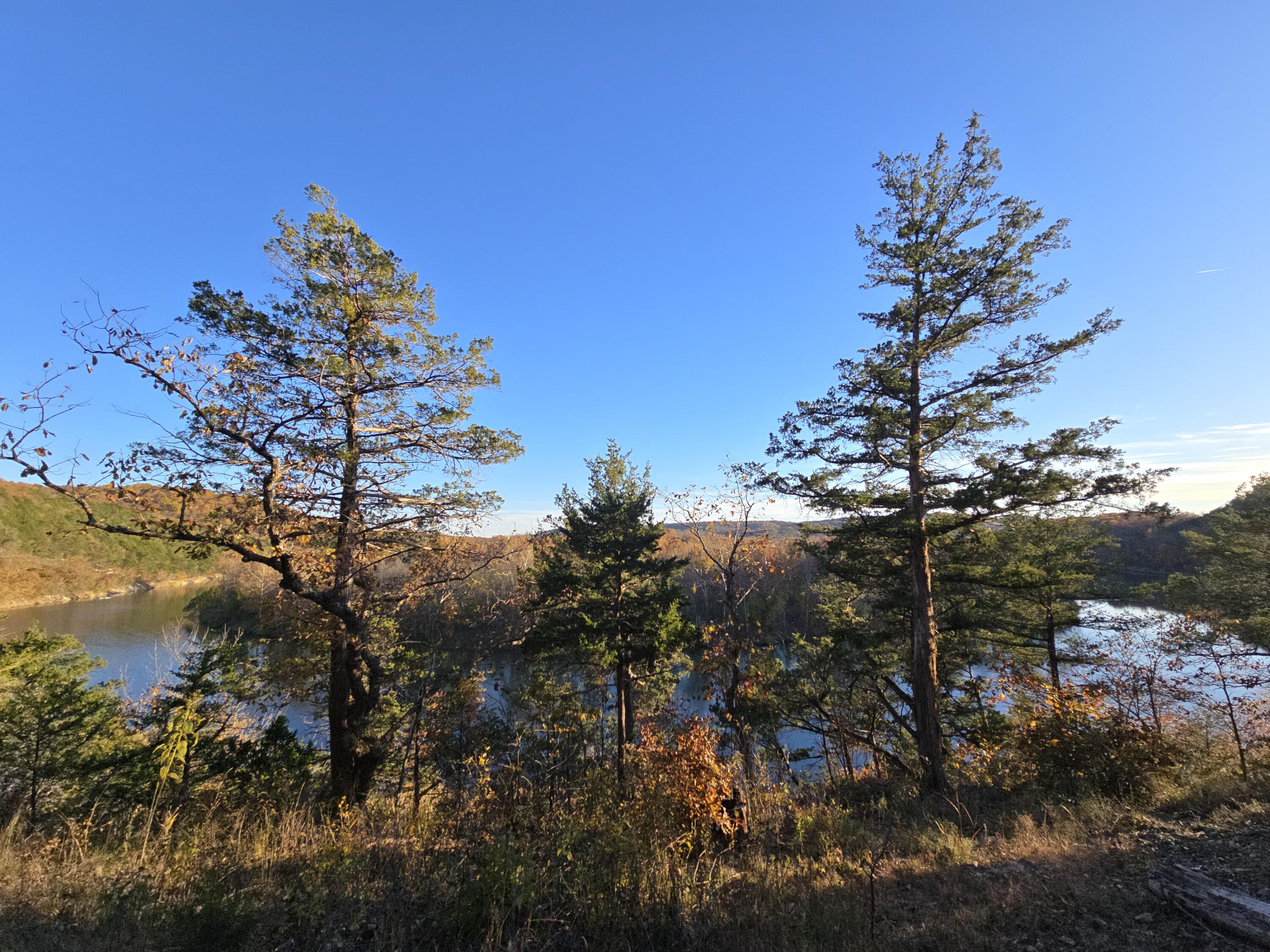 main property photo 64