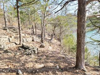 main property photo 68