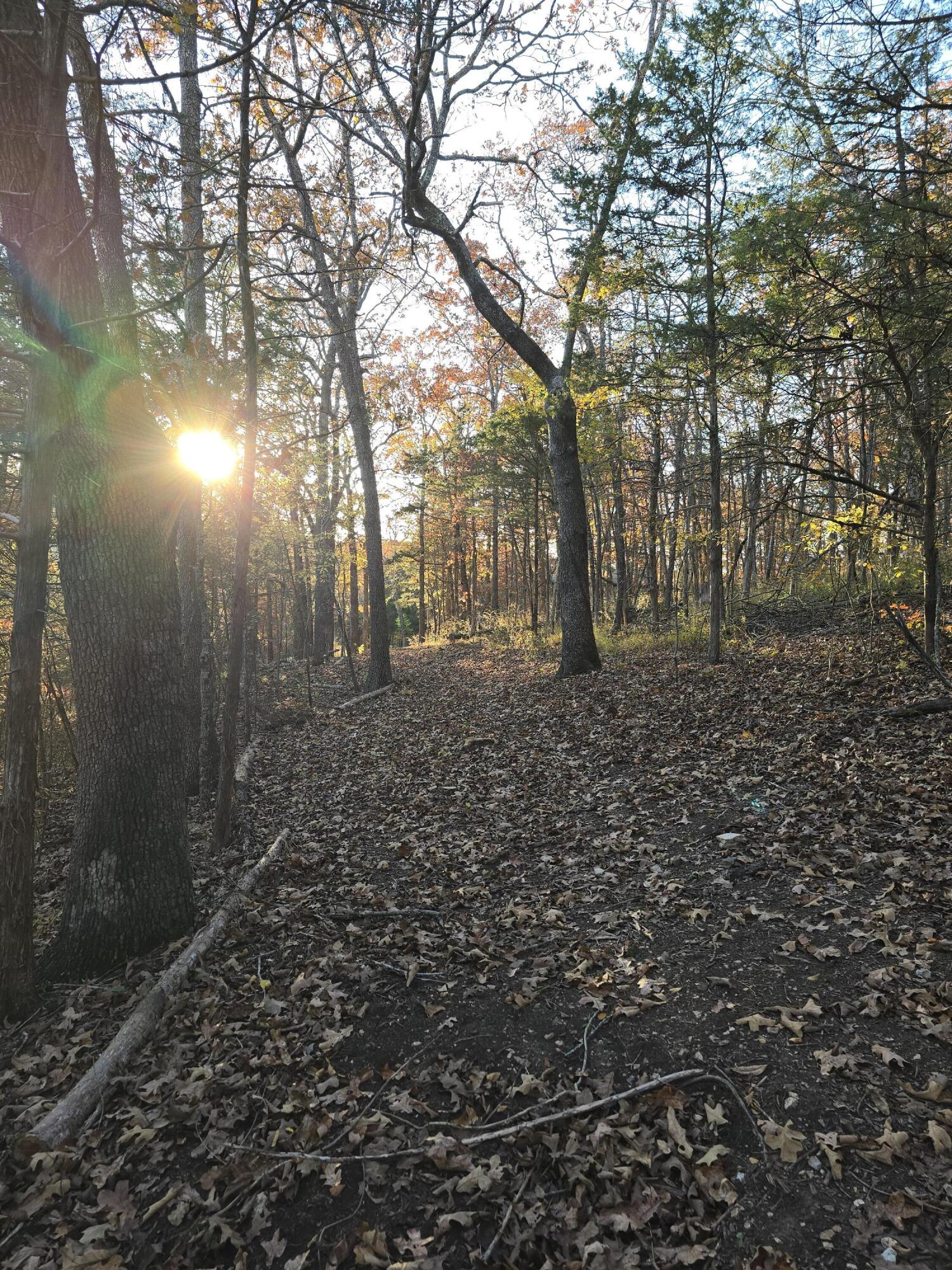main property photo 70