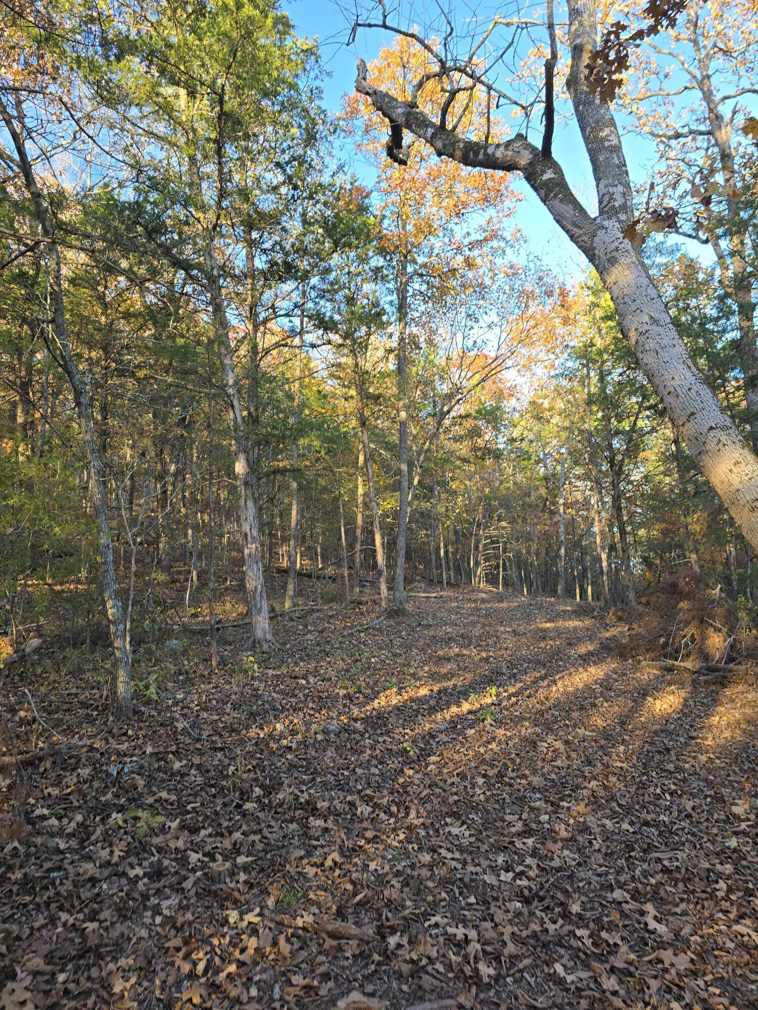 main property photo 71