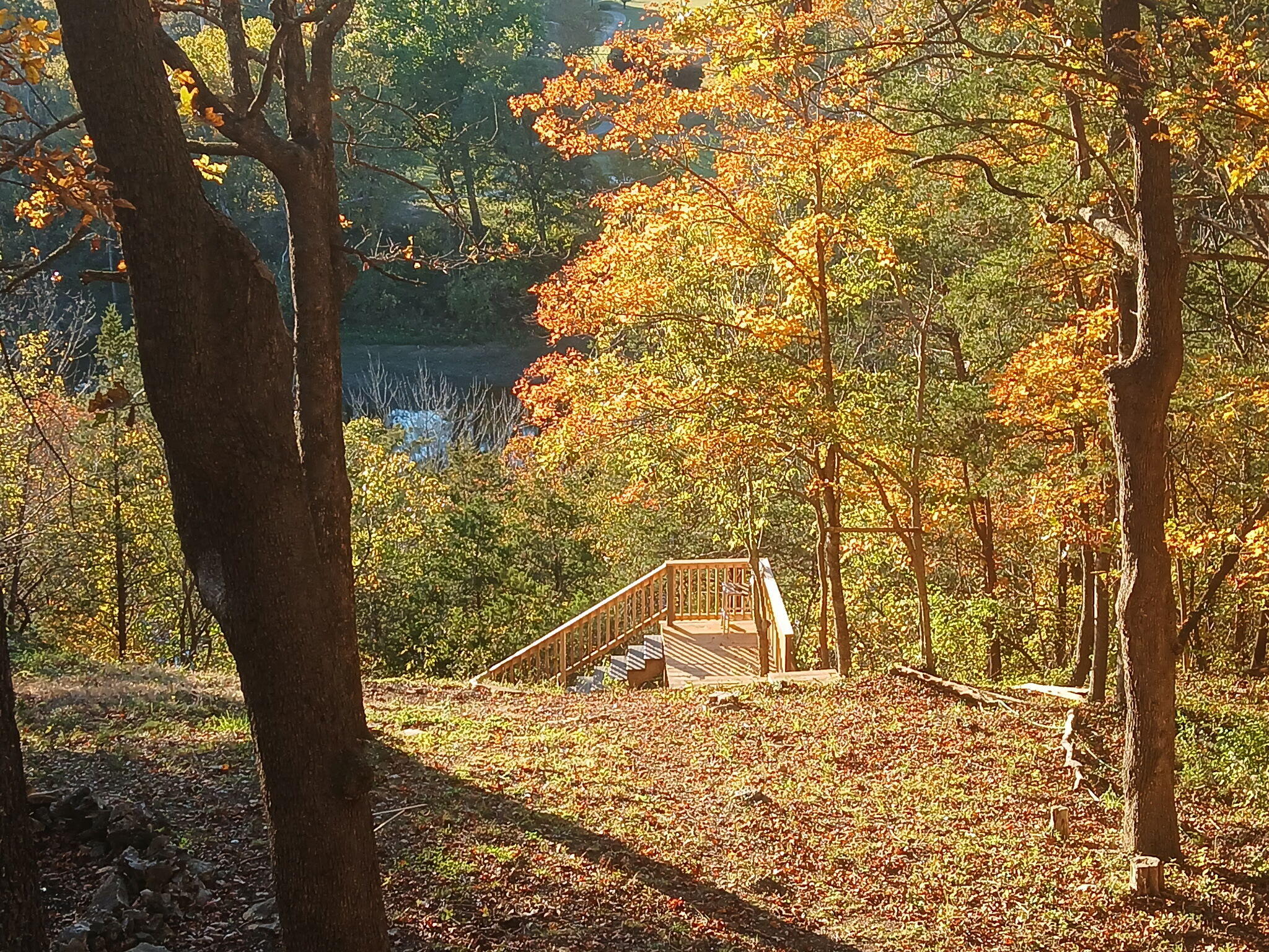 main property photo 41