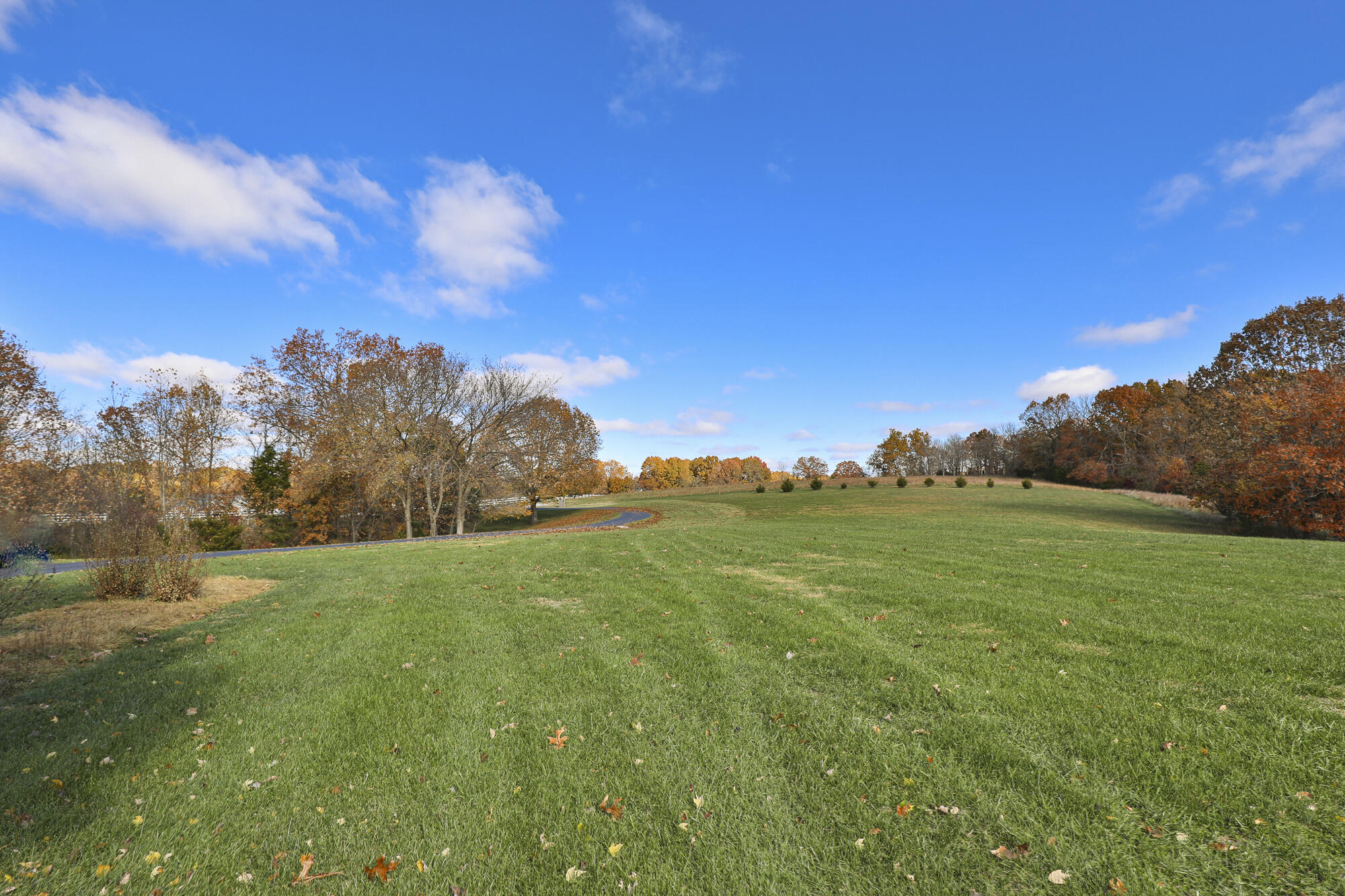 property viewer photo 81