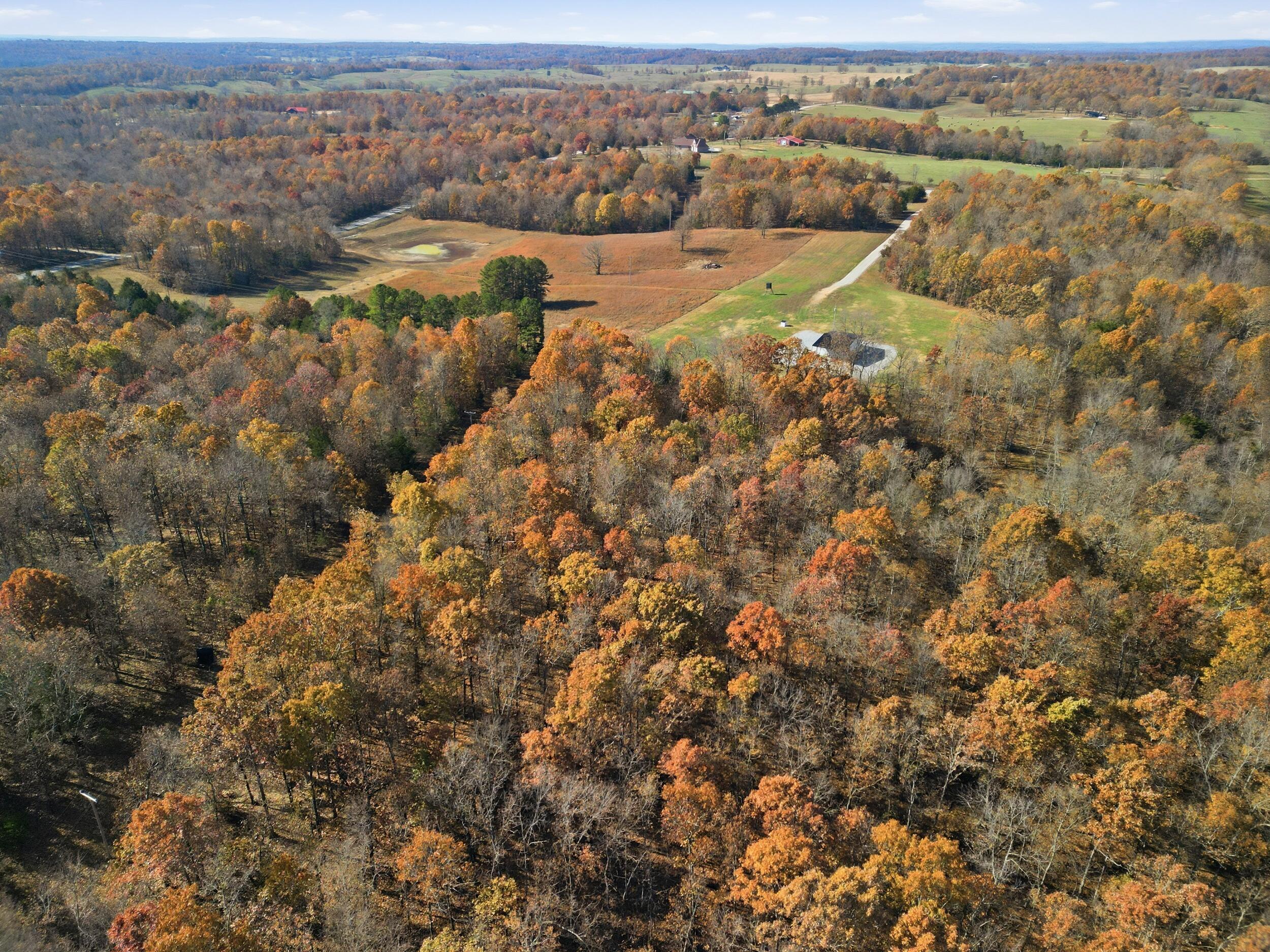 main property photo 23