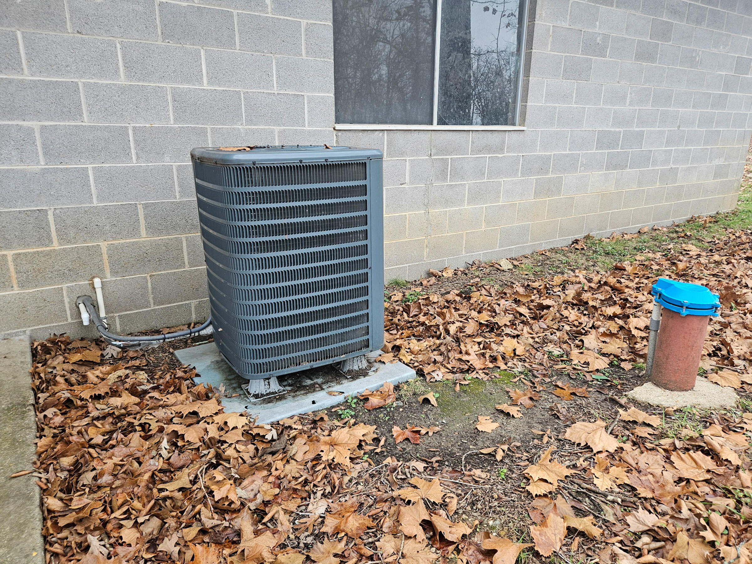 main property photo 40