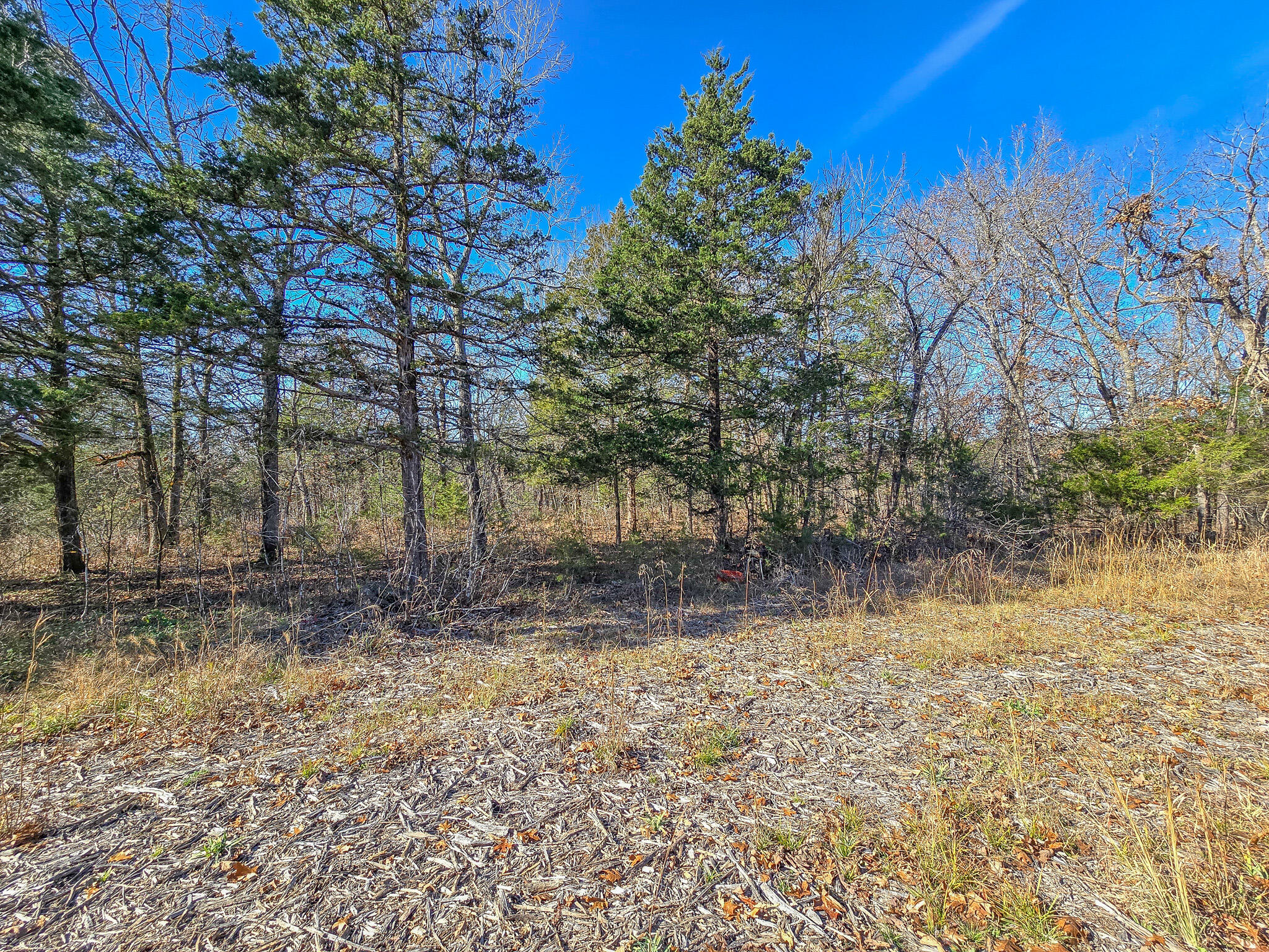 property viewer photo 2