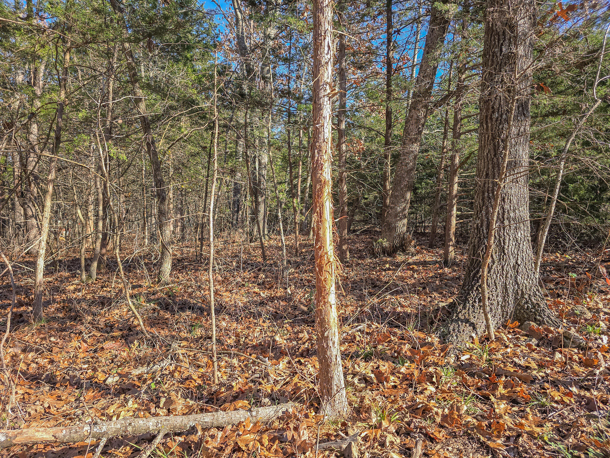 property viewer photo 3