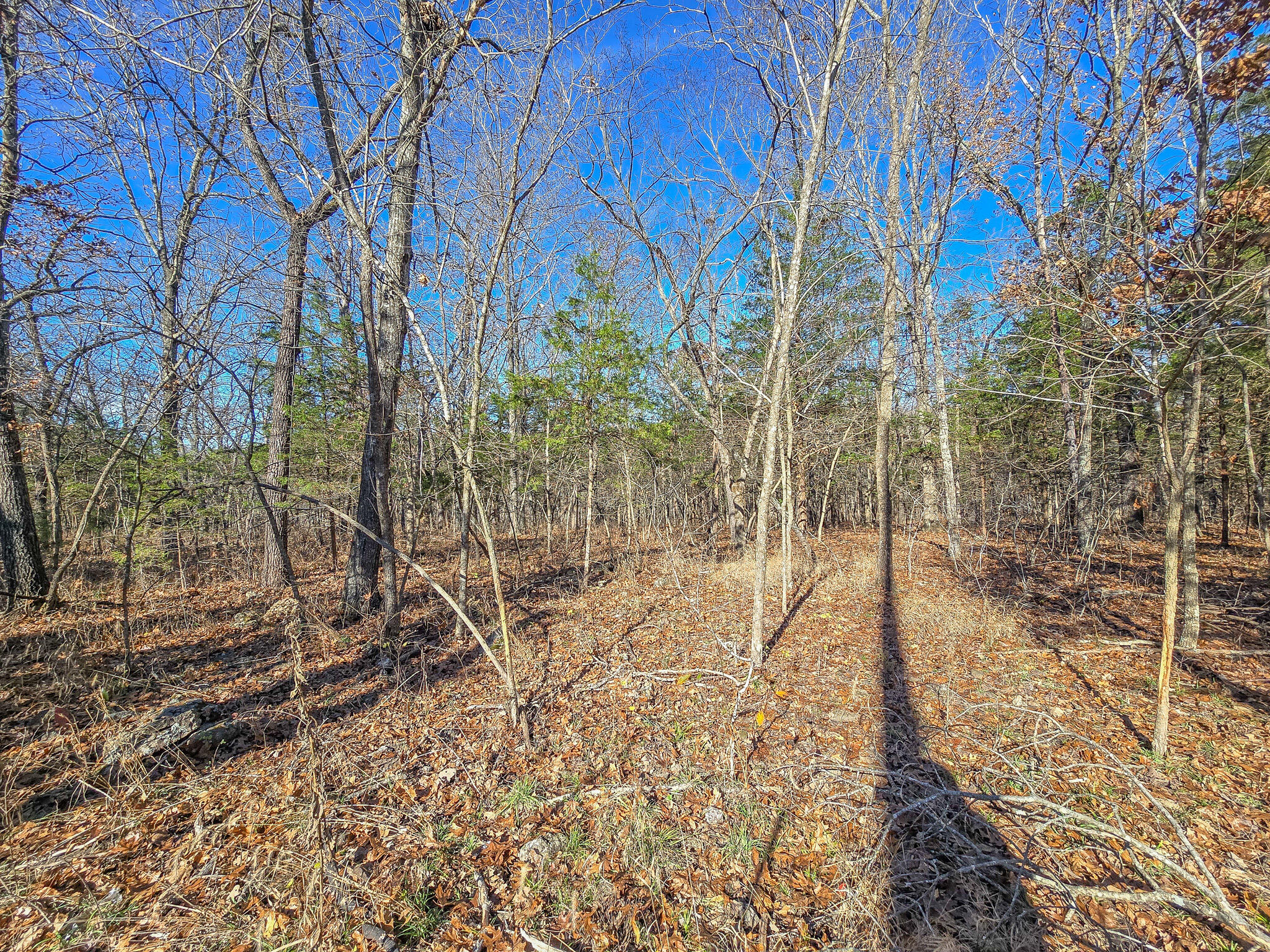 property viewer photo 4