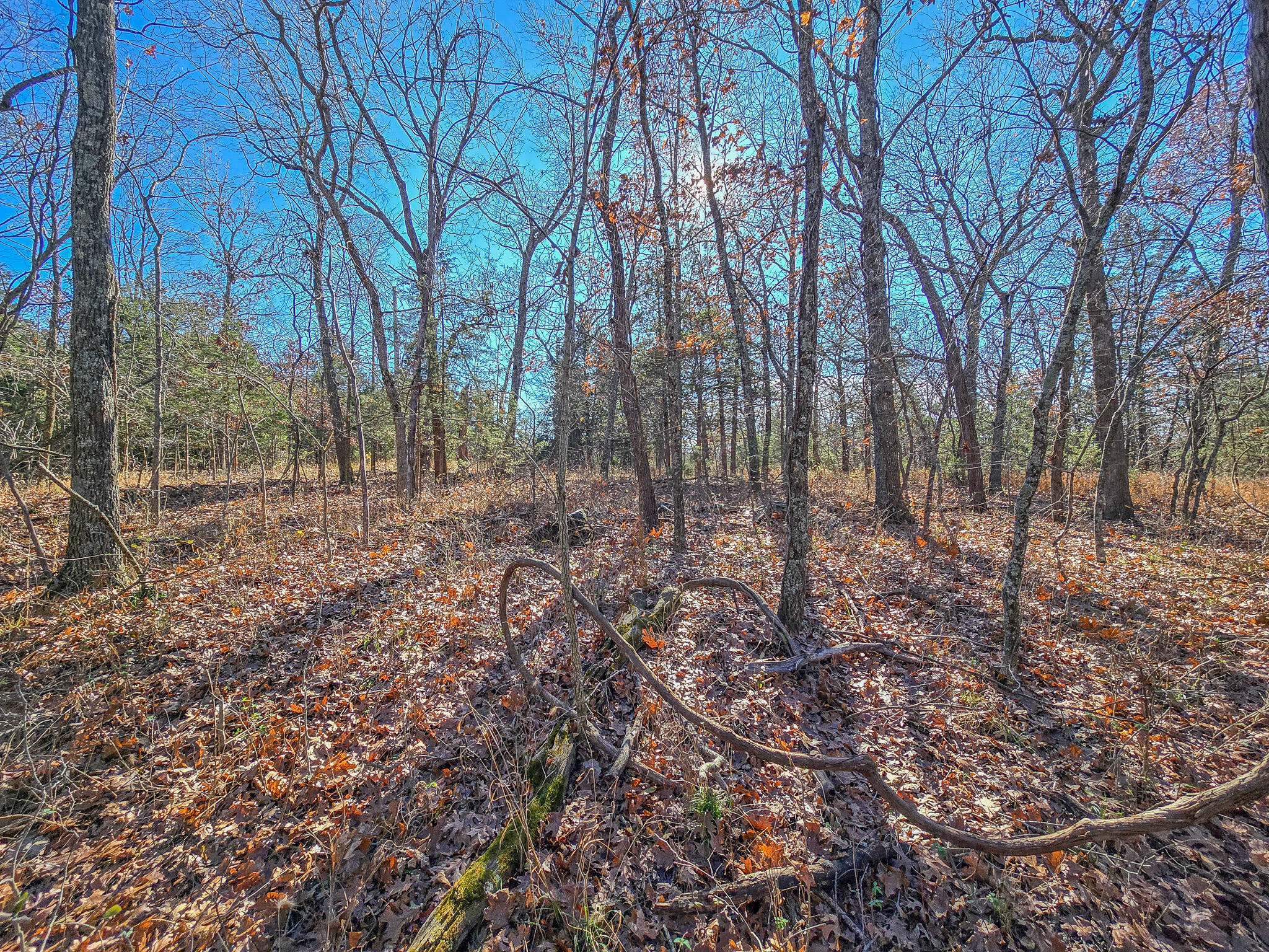 property viewer photo 5