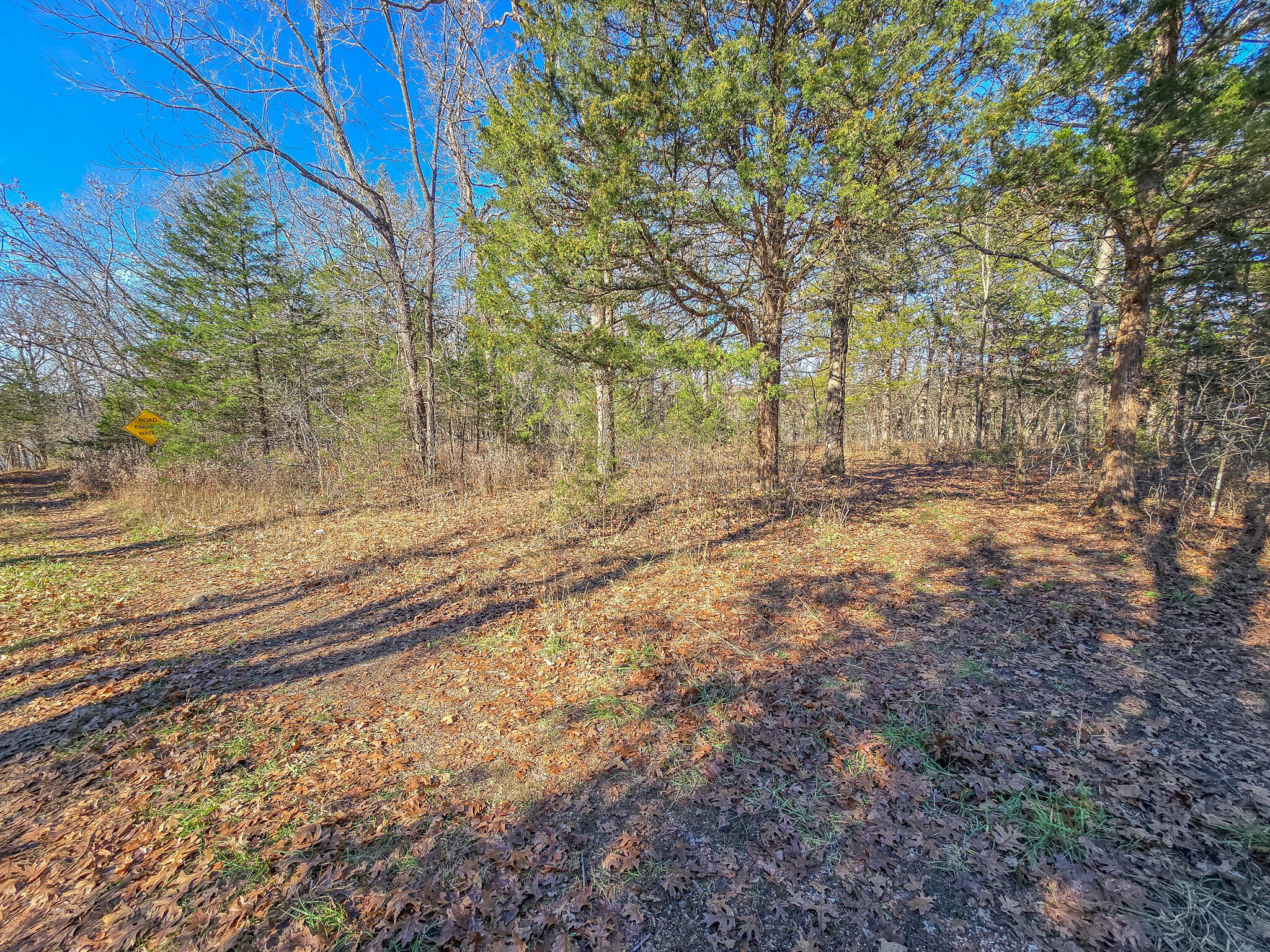 property viewer photo 6