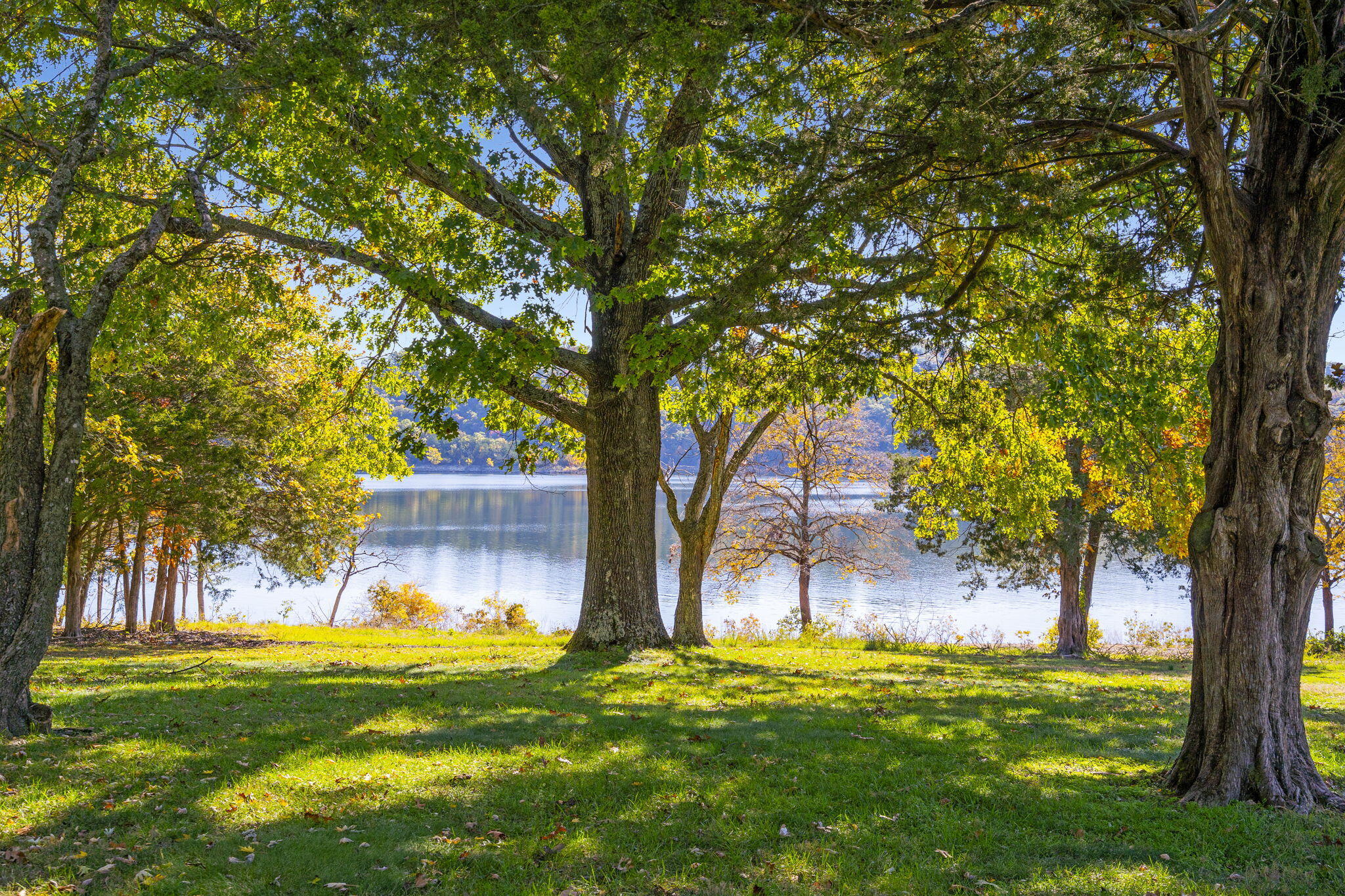 main property photo 43