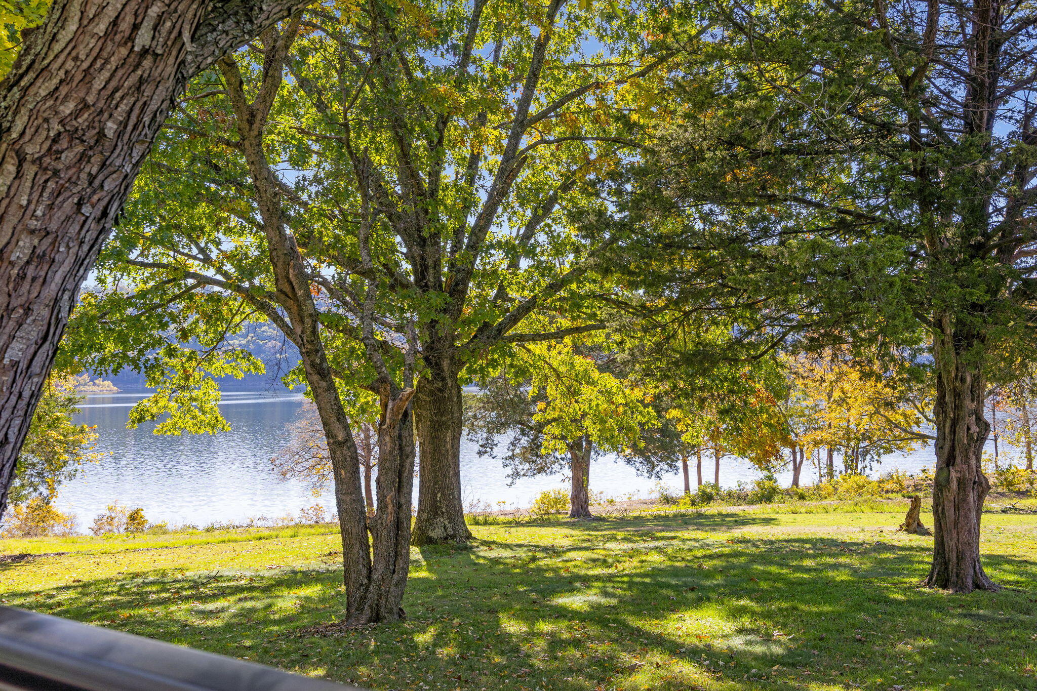 main property photo 49