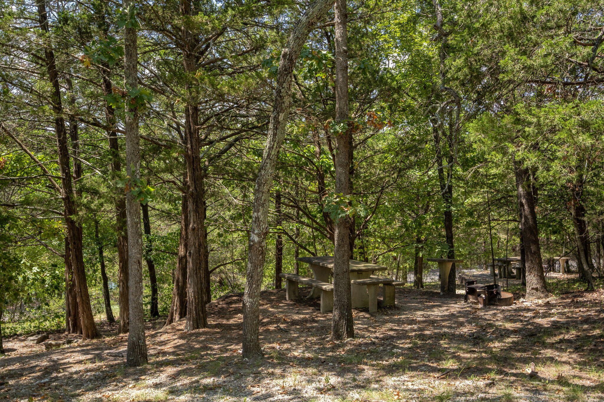 main property photo 85
