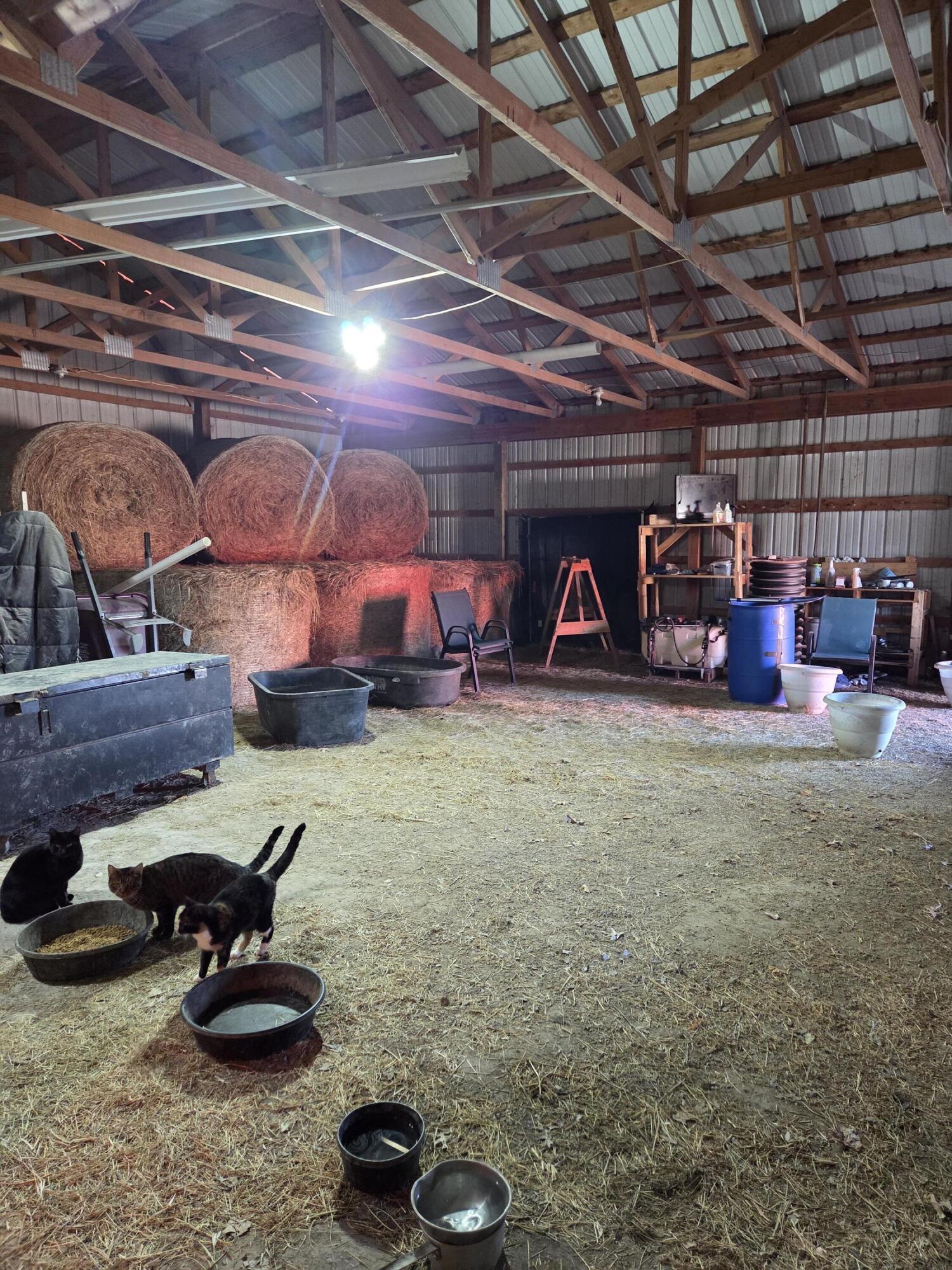 main property photo 40