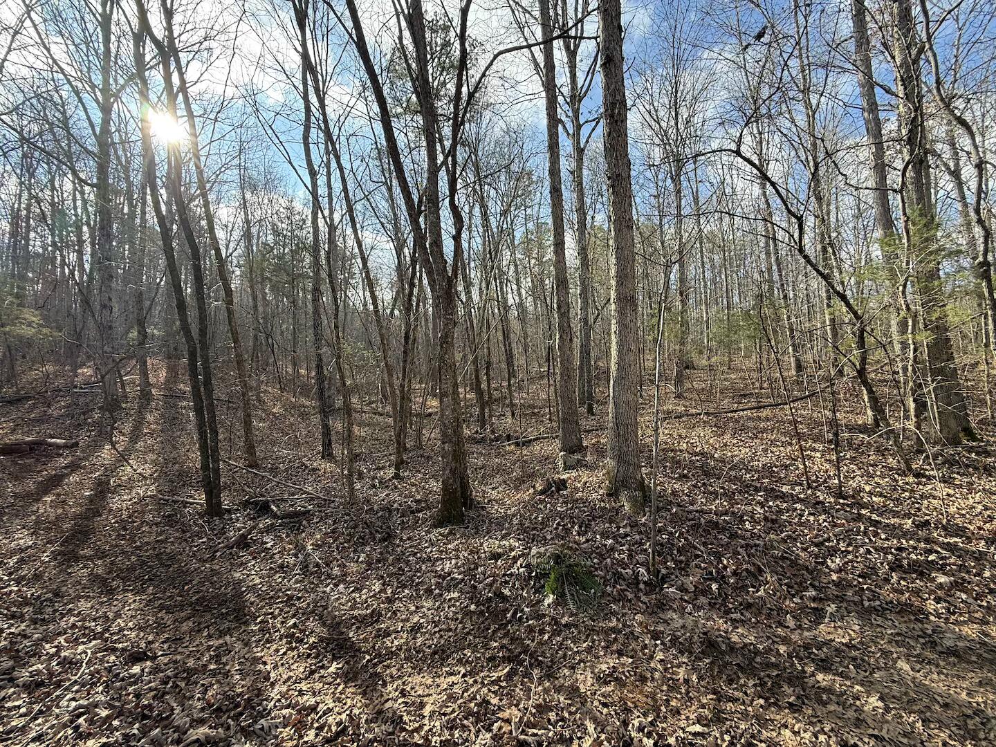 main property photo 0