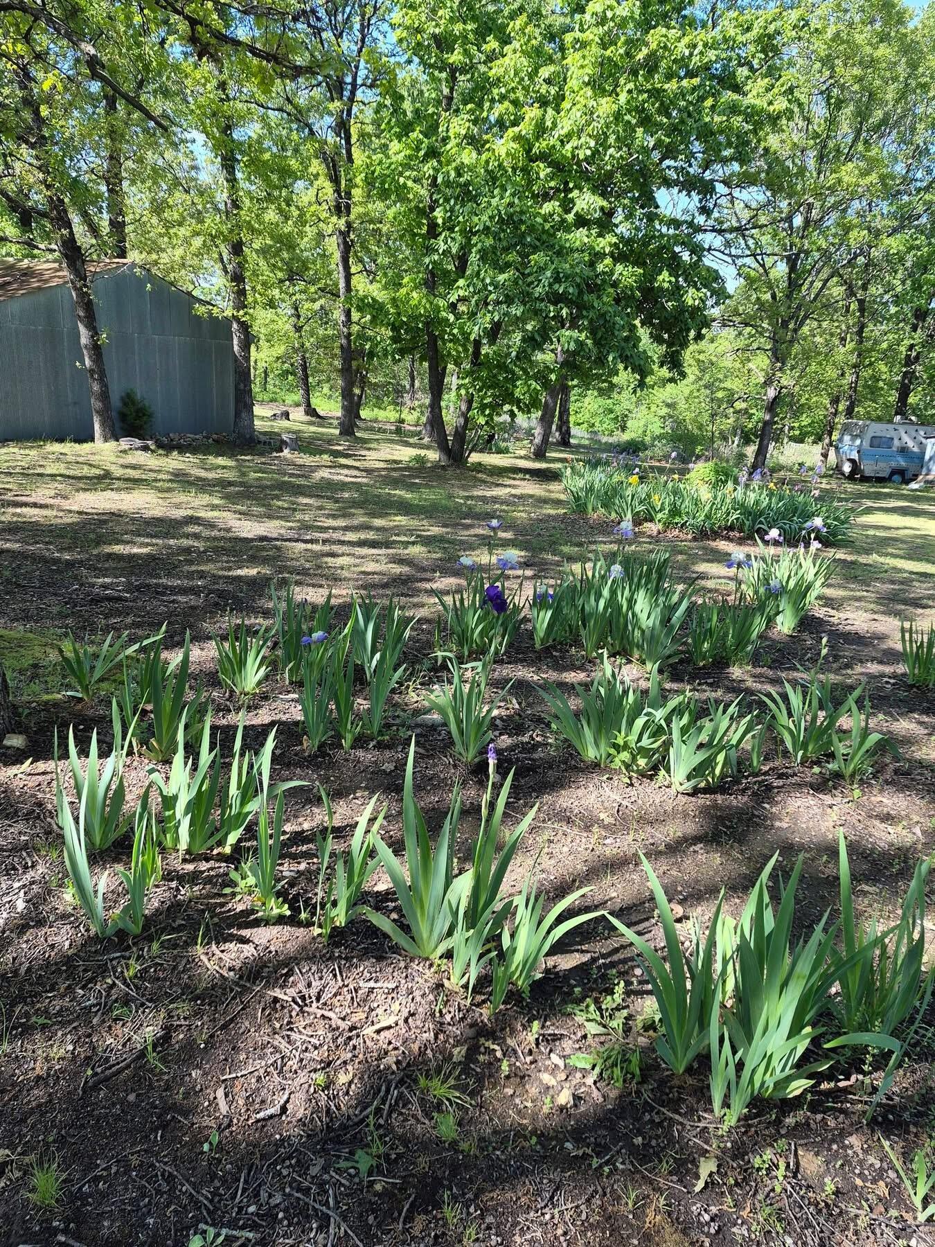 main property photo 34