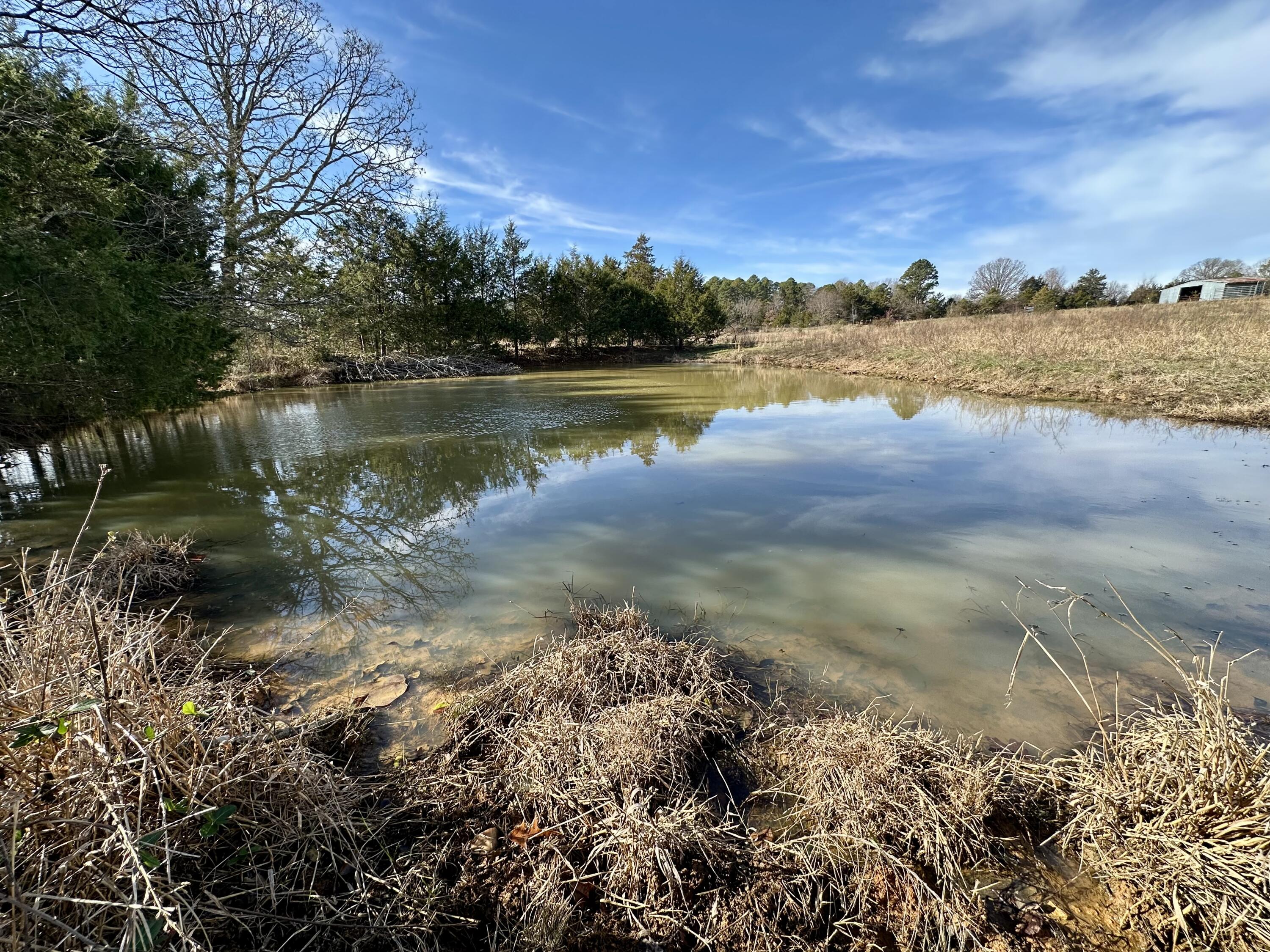 main property photo 34