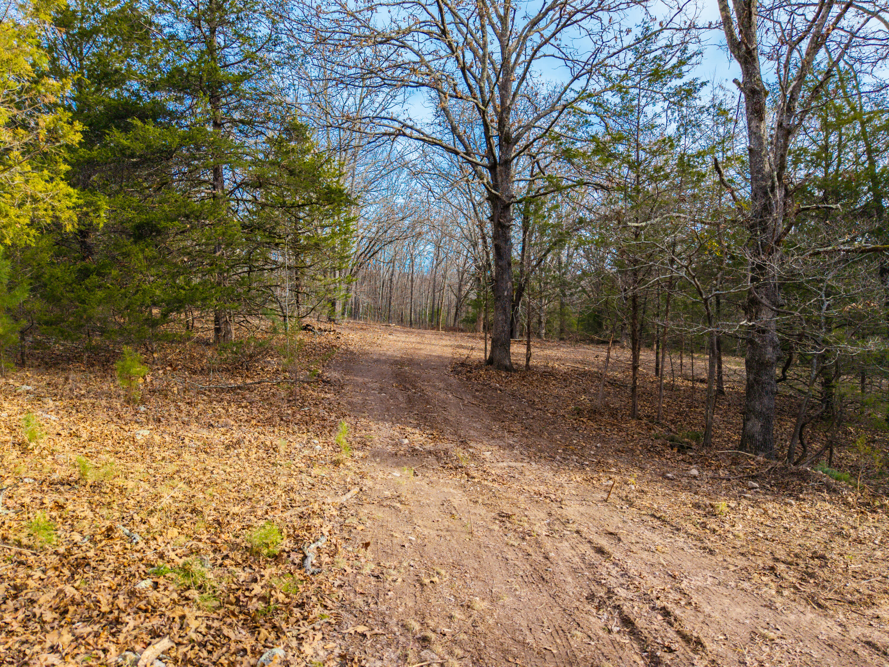 property viewer photo 1