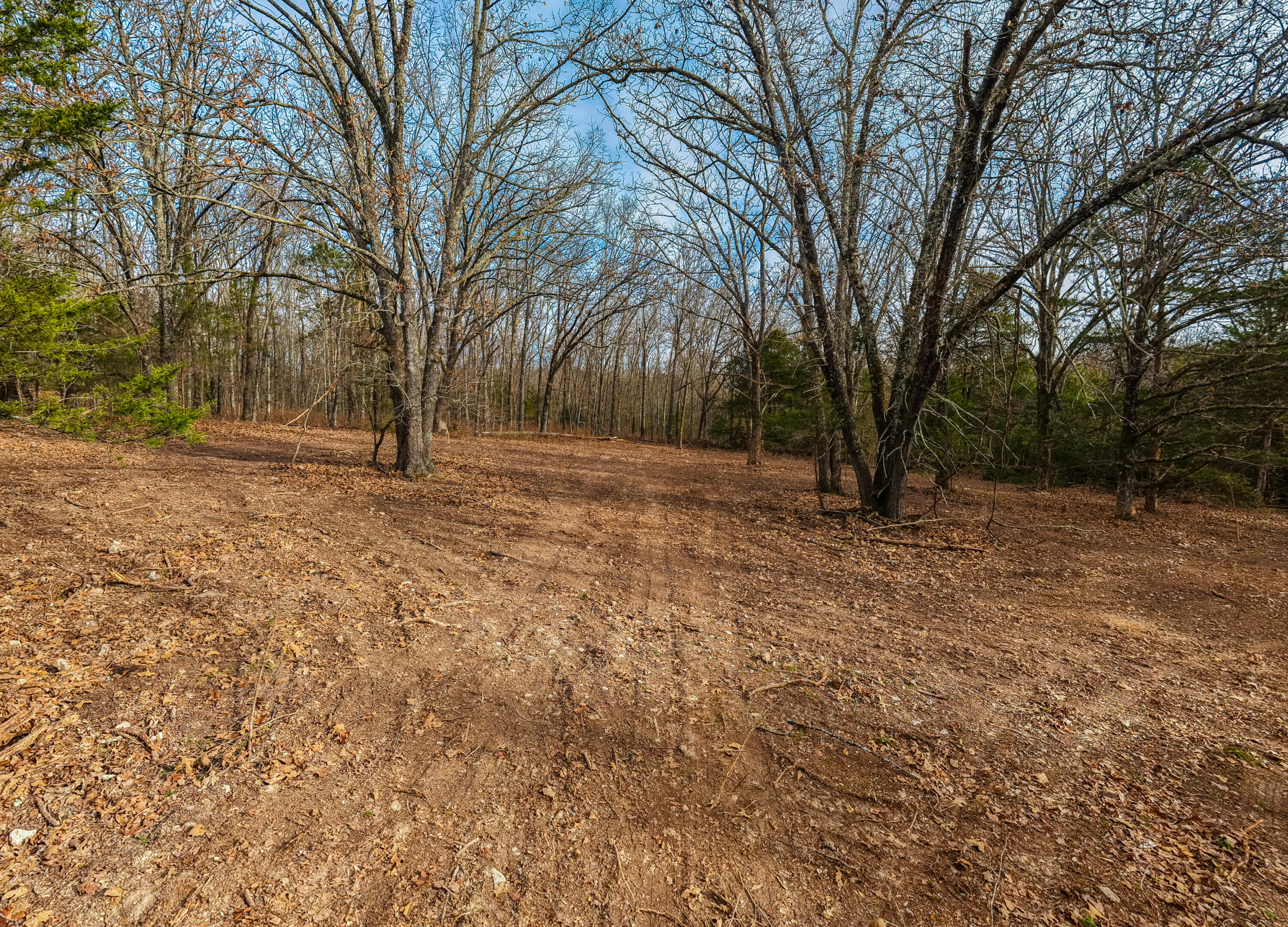 property viewer photo 2