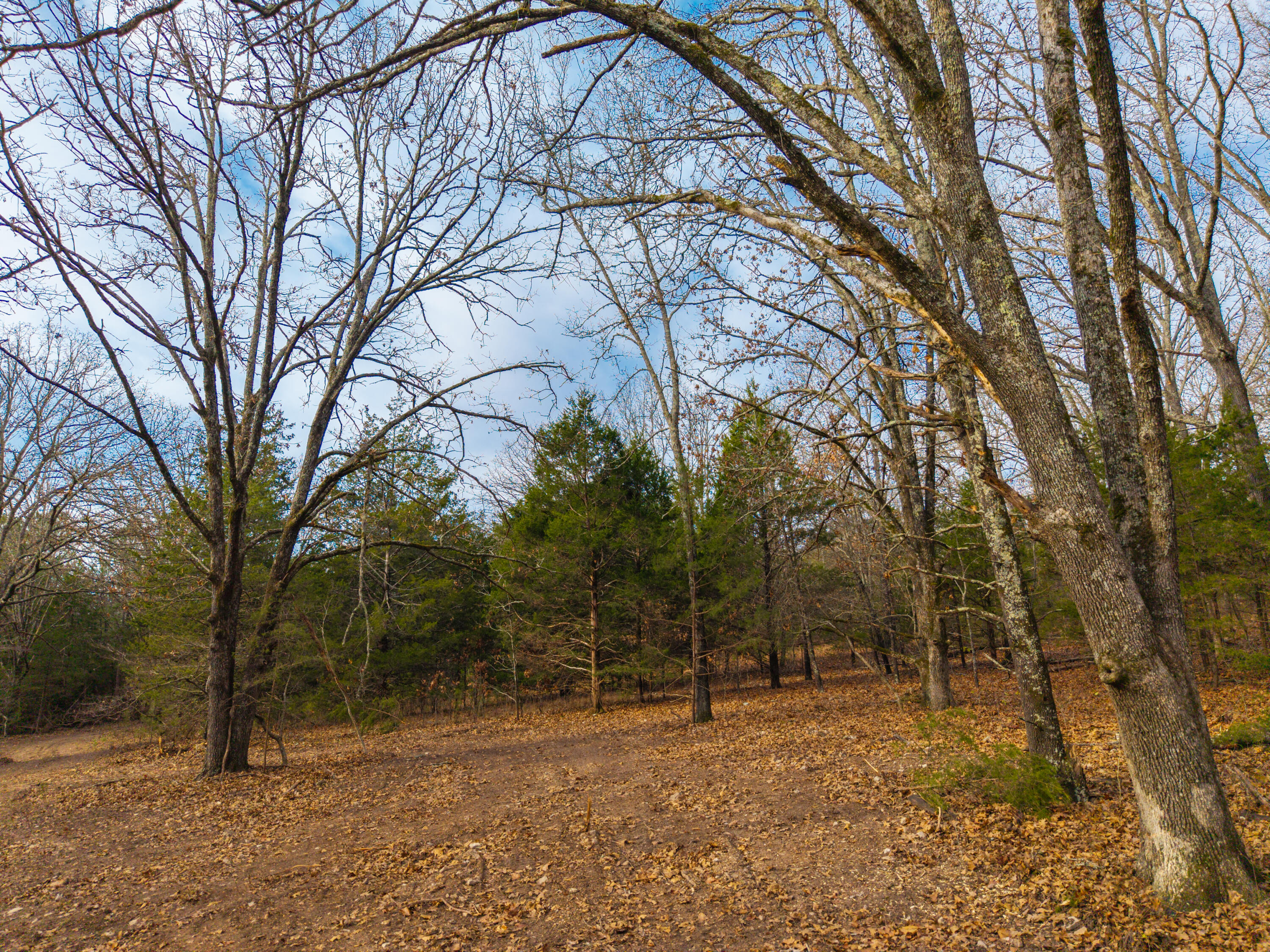 property viewer photo 6