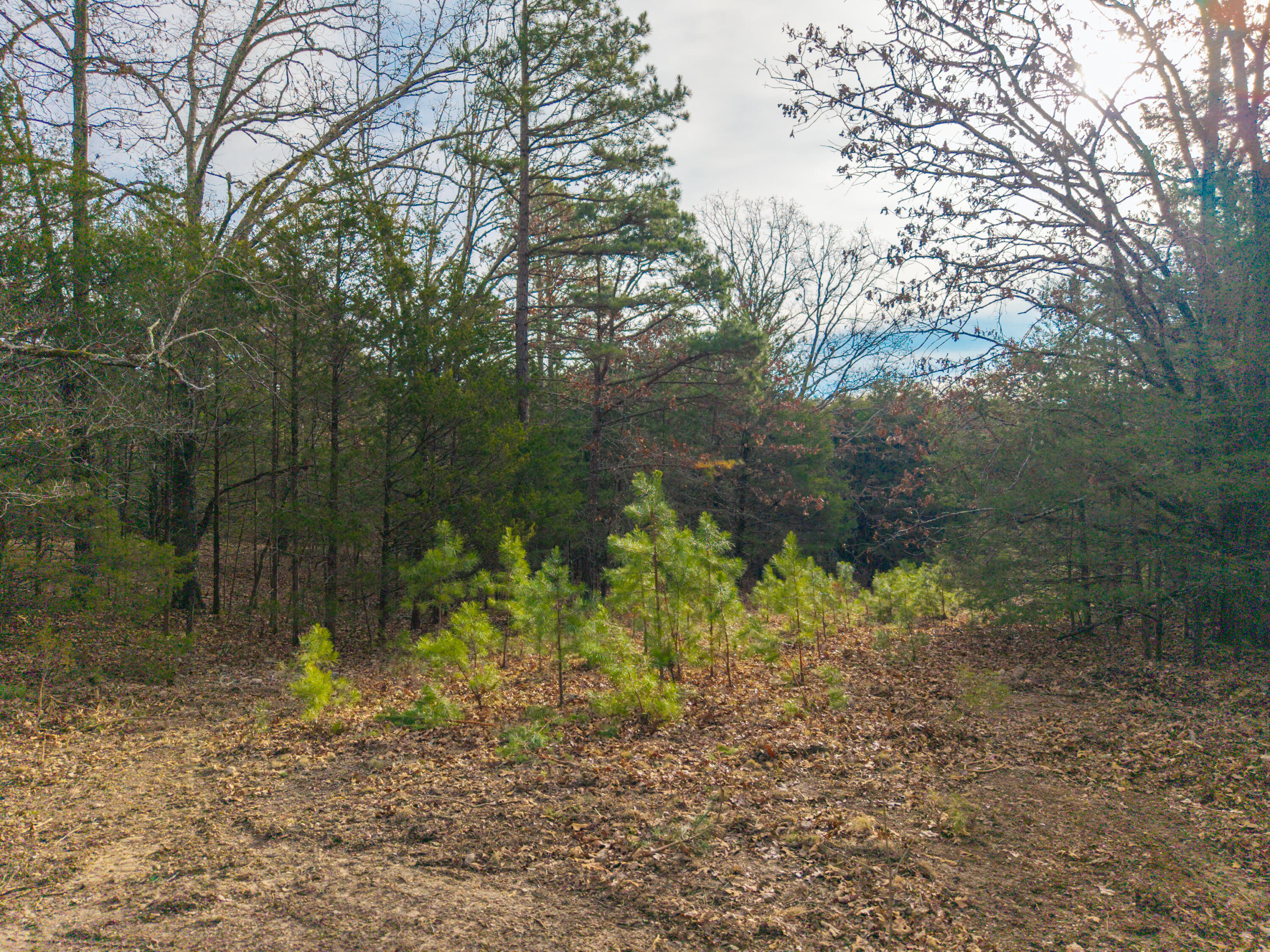 property viewer photo 7
