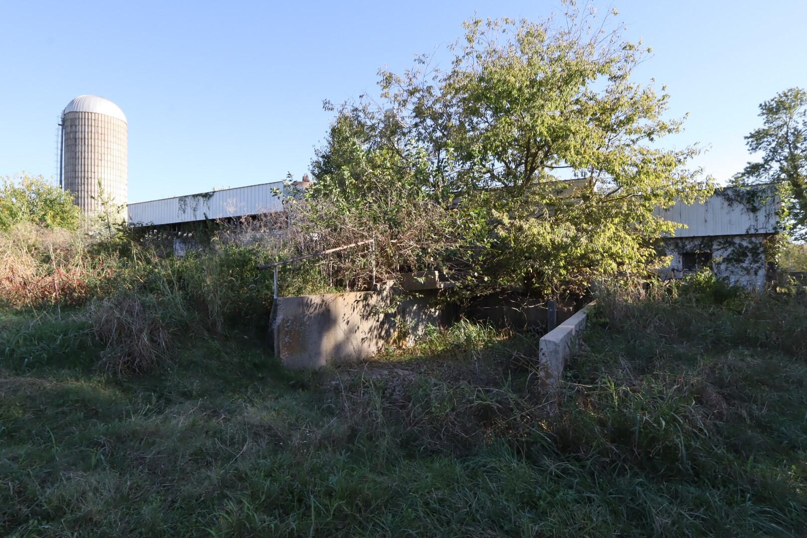 main property photo 57