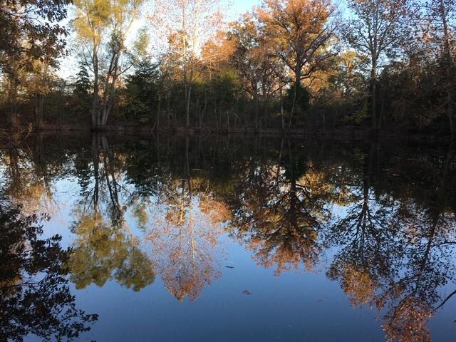 property viewer photo 30