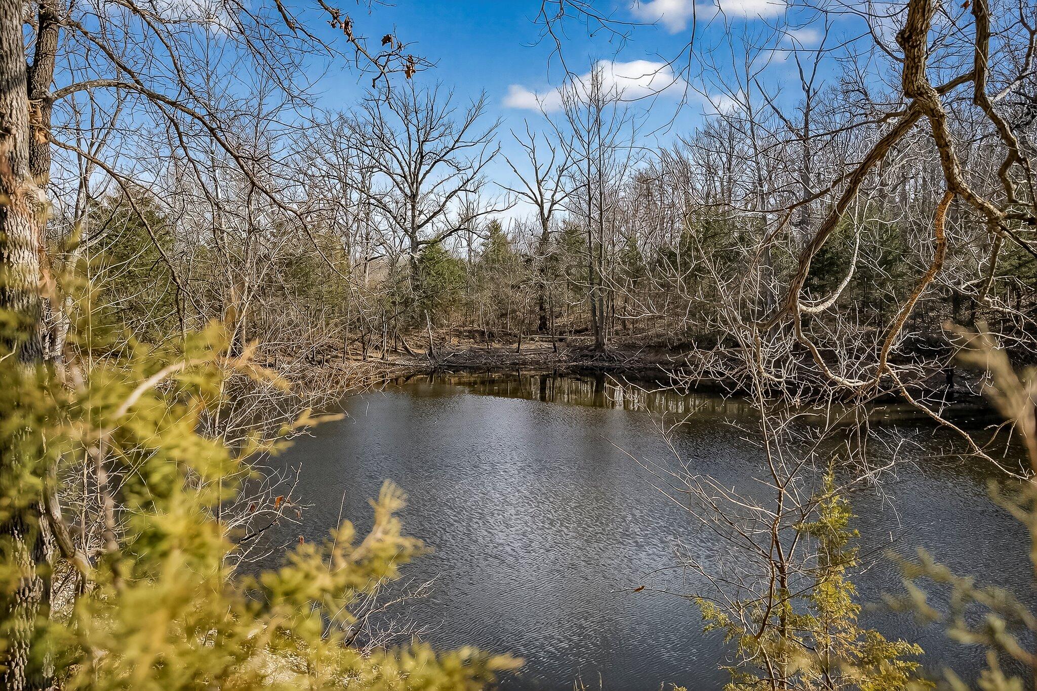 property viewer photo 36