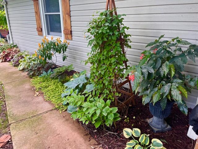 property viewer photo 53