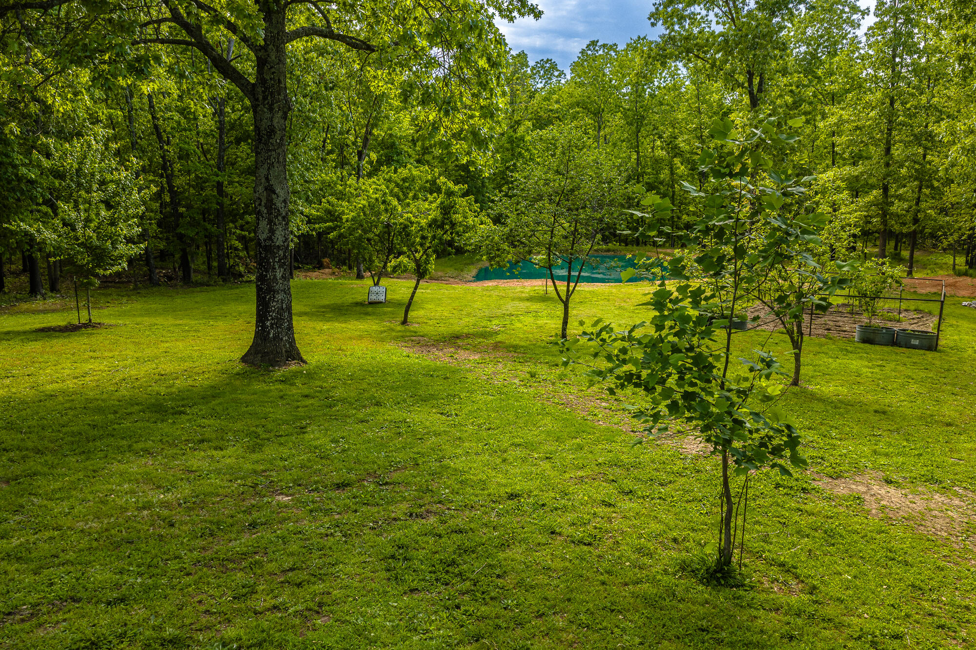main property photo 41