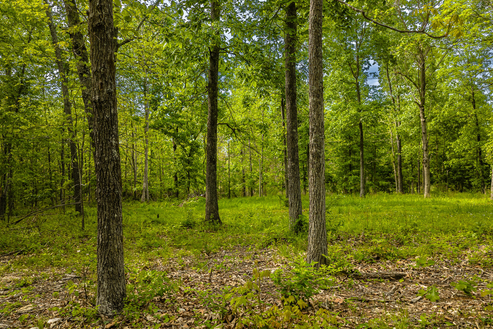 main property photo 55