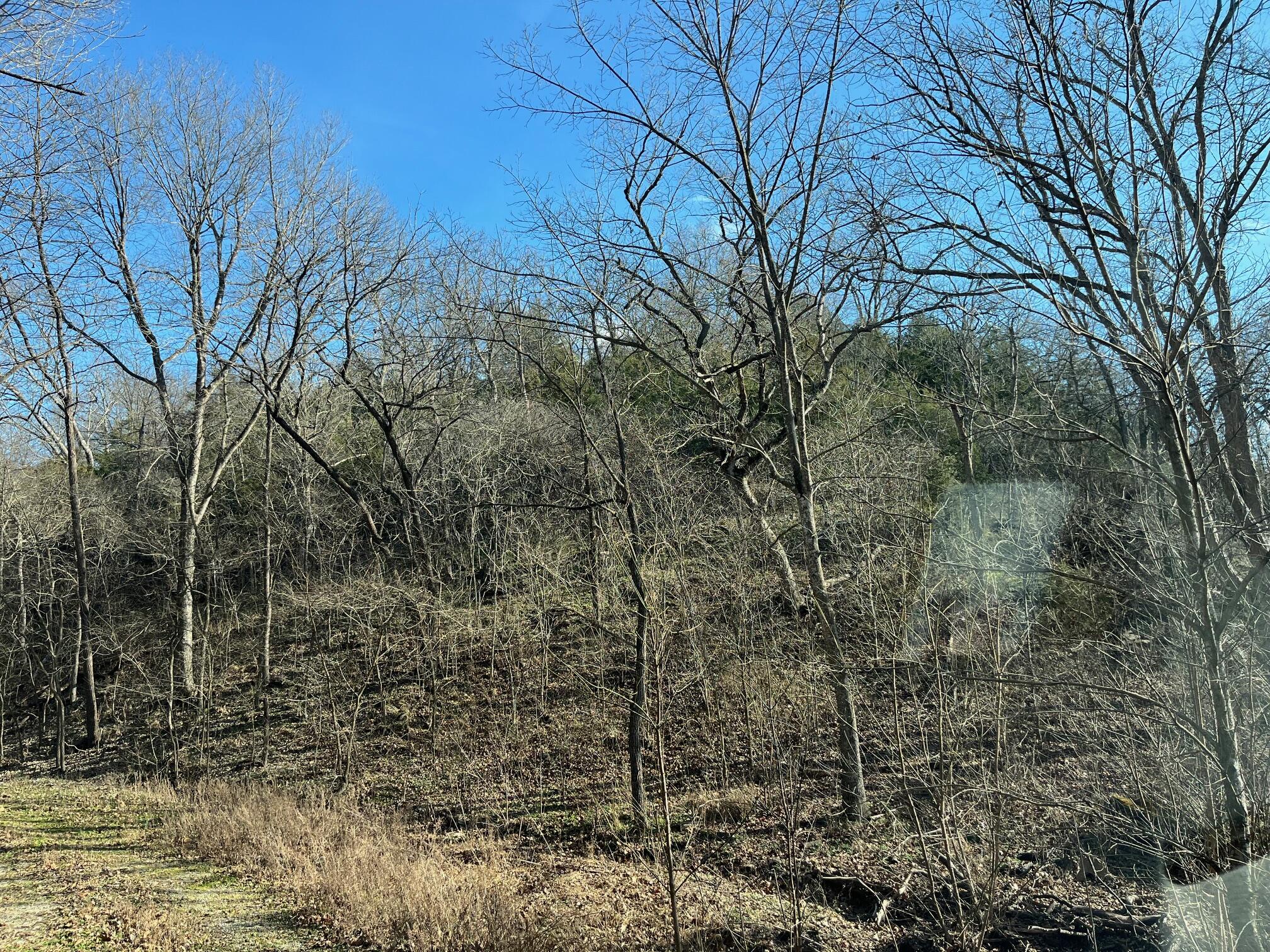 main property photo 14