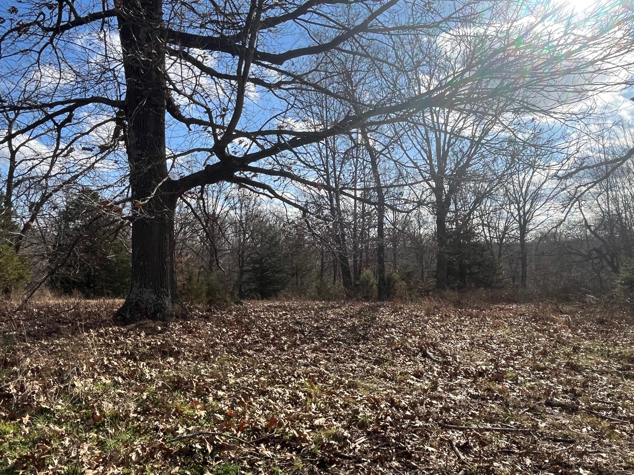 main property photo 17