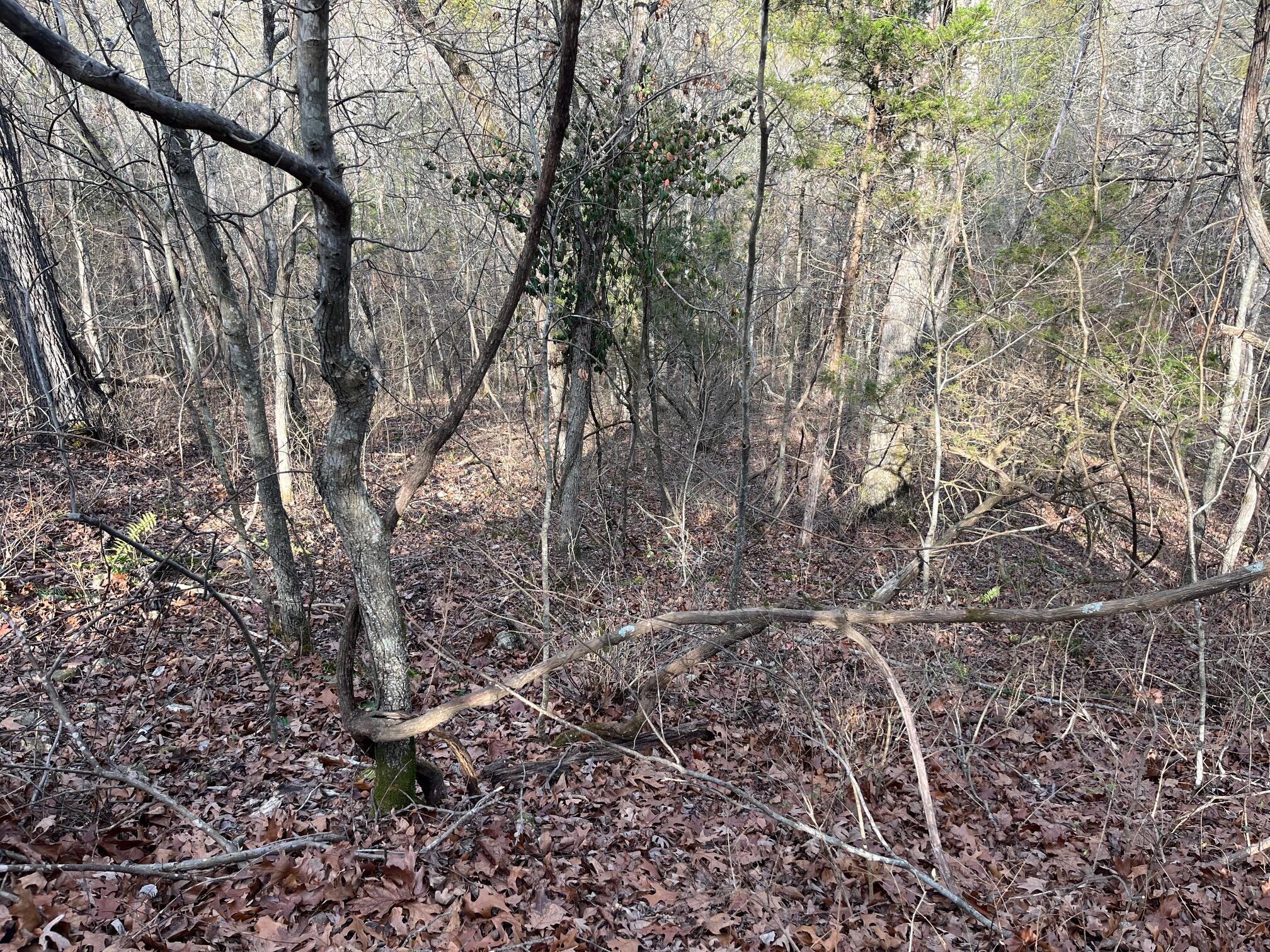 main property photo 20
