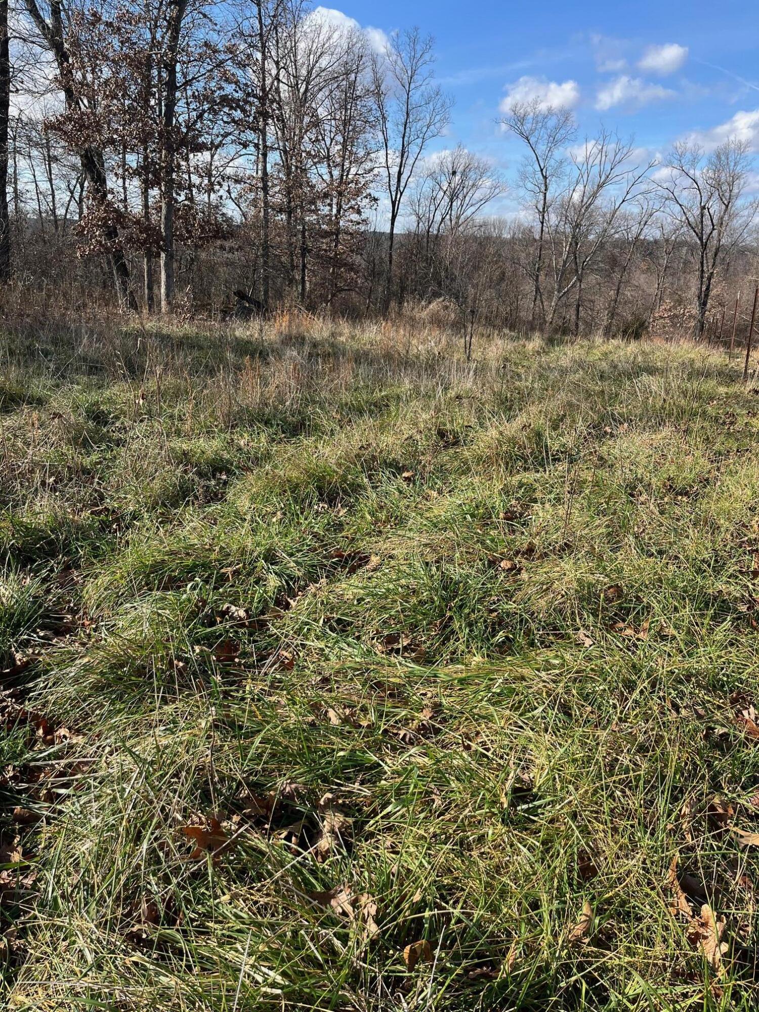 main property photo 25