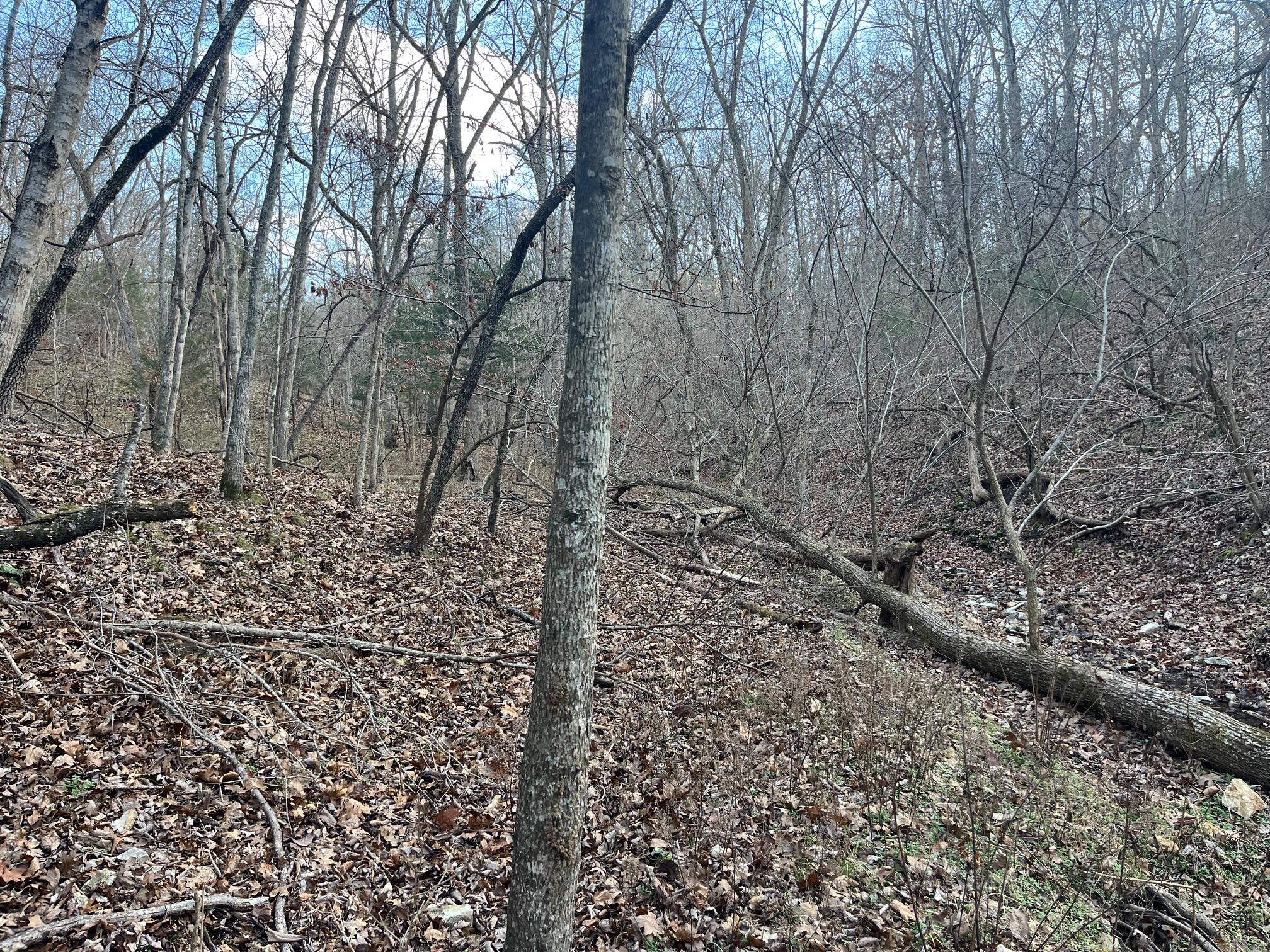 main property photo 26