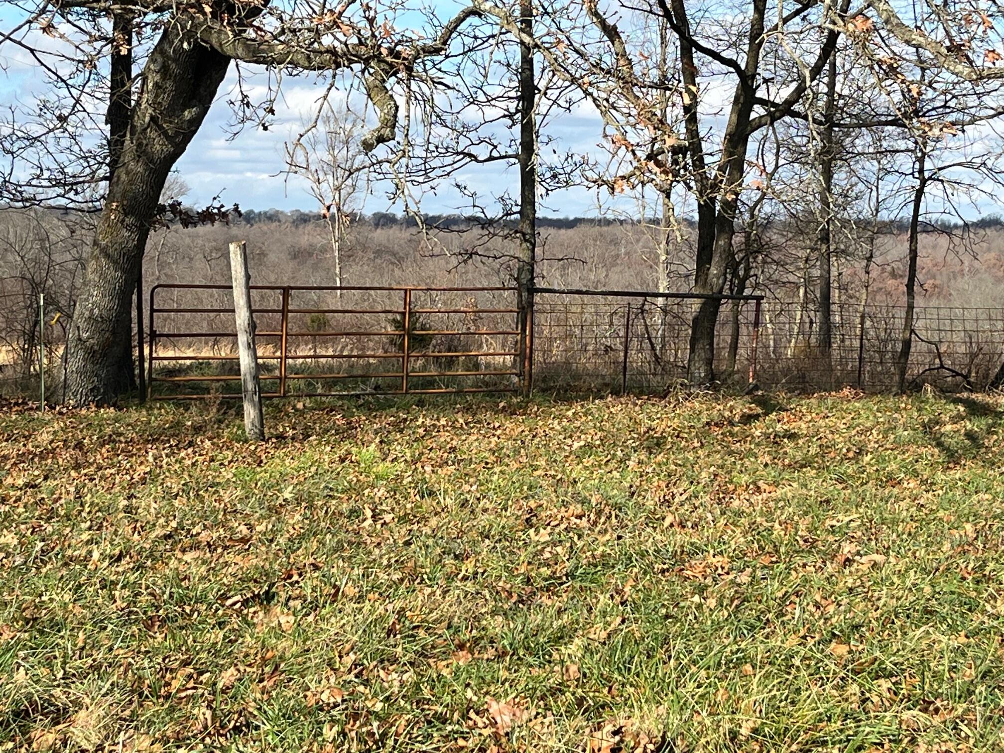 main property photo 39