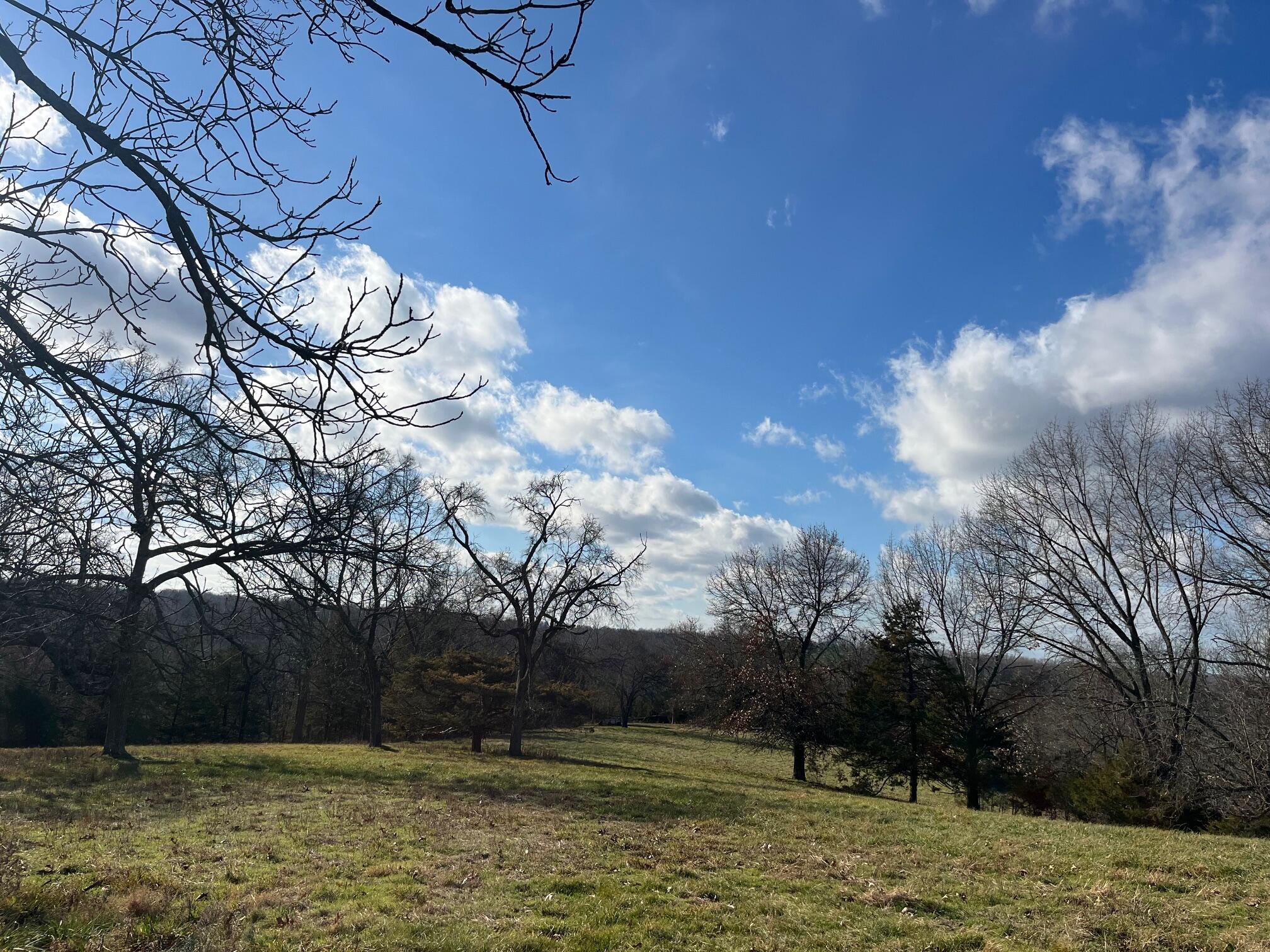 main property photo 54