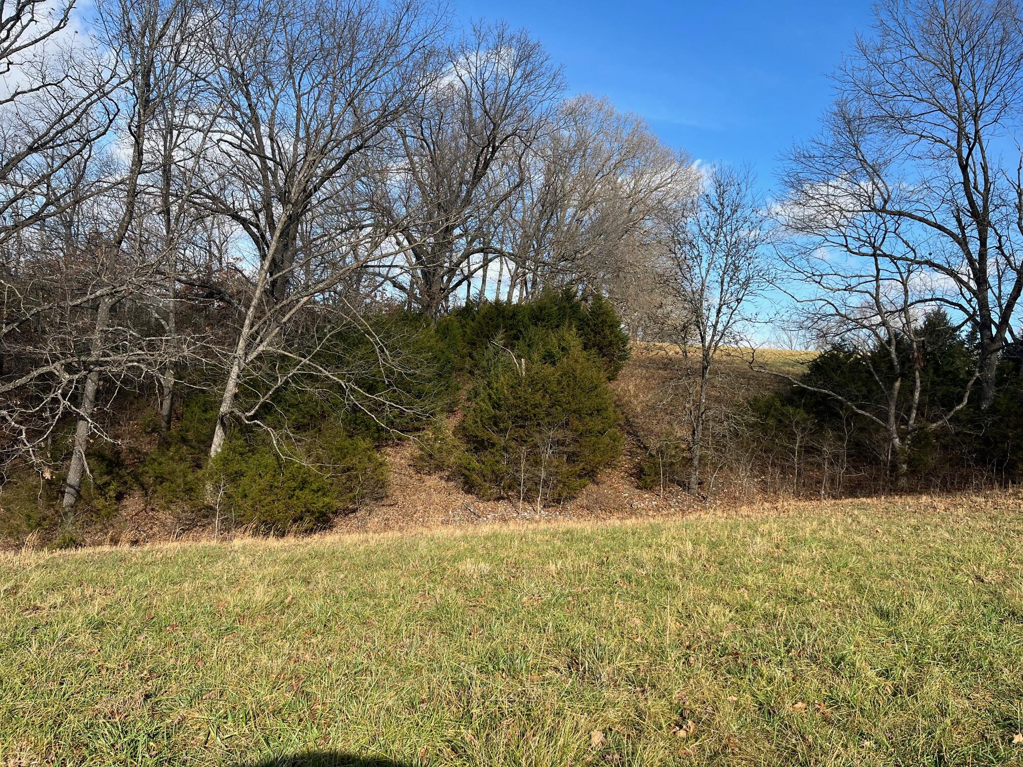 main property photo 57