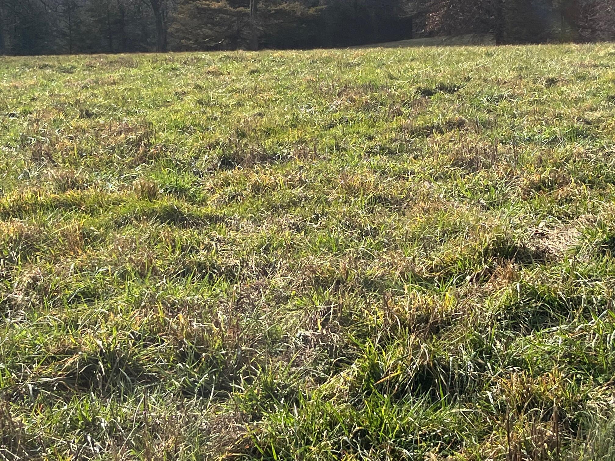 main property photo 62