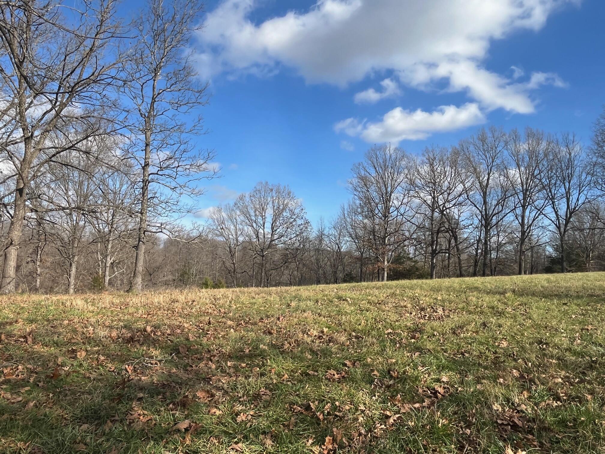 main property photo 71