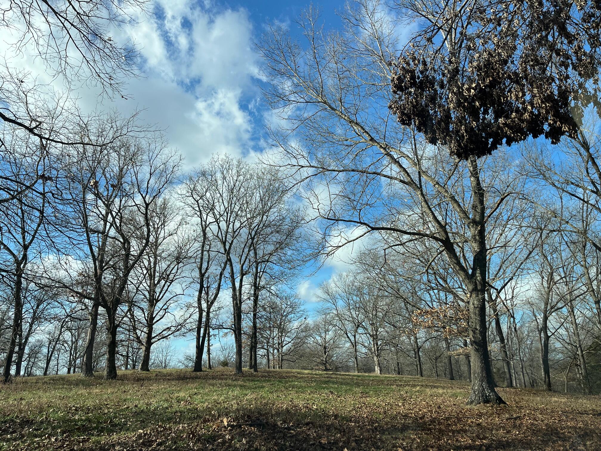 main property photo 74