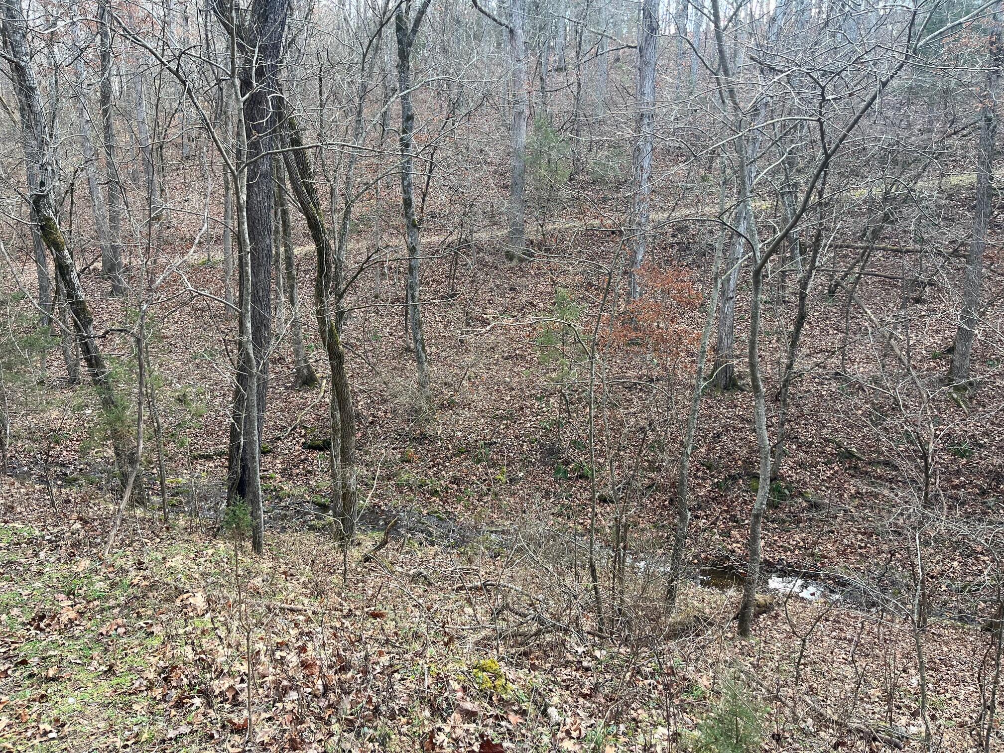 main property photo 75