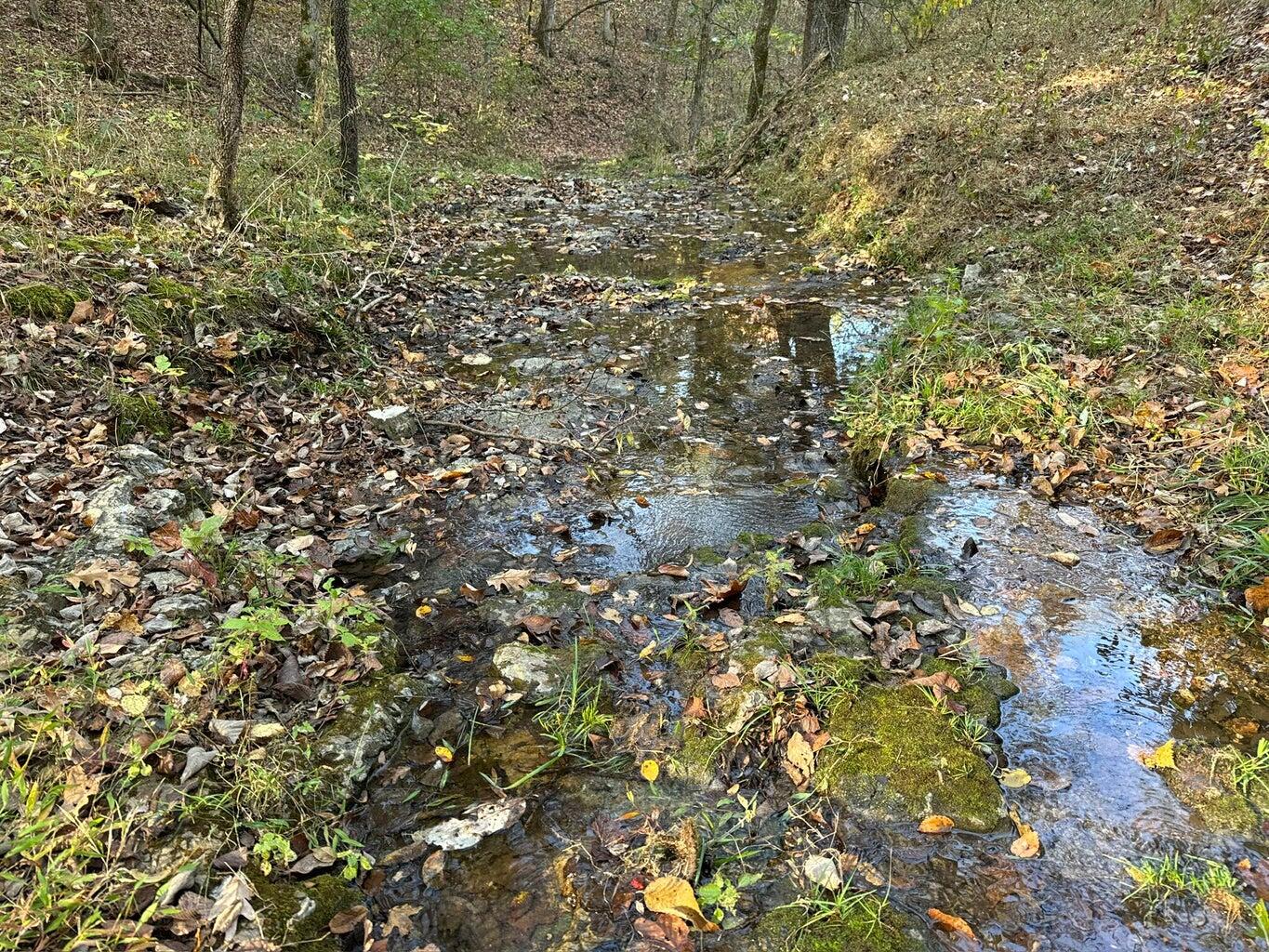 main property photo 9