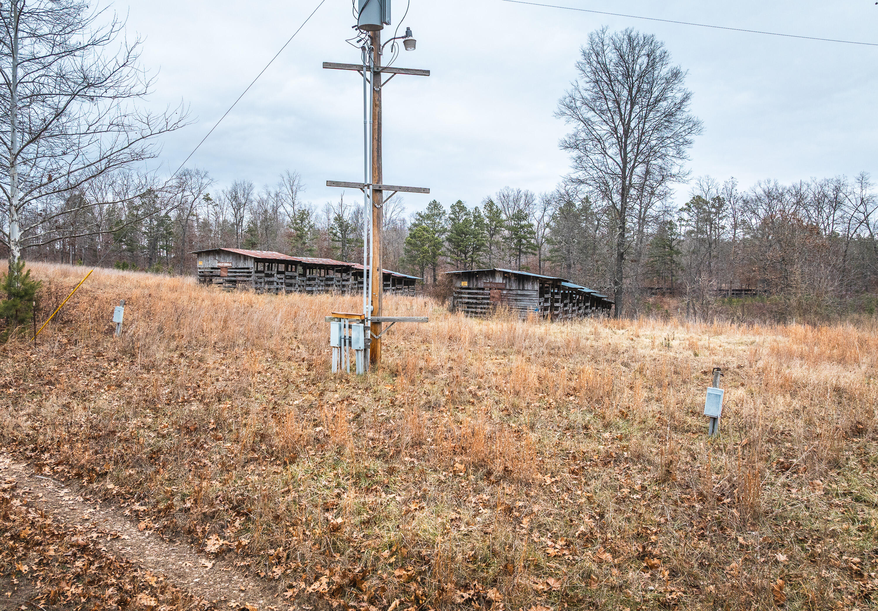 main property photo 26