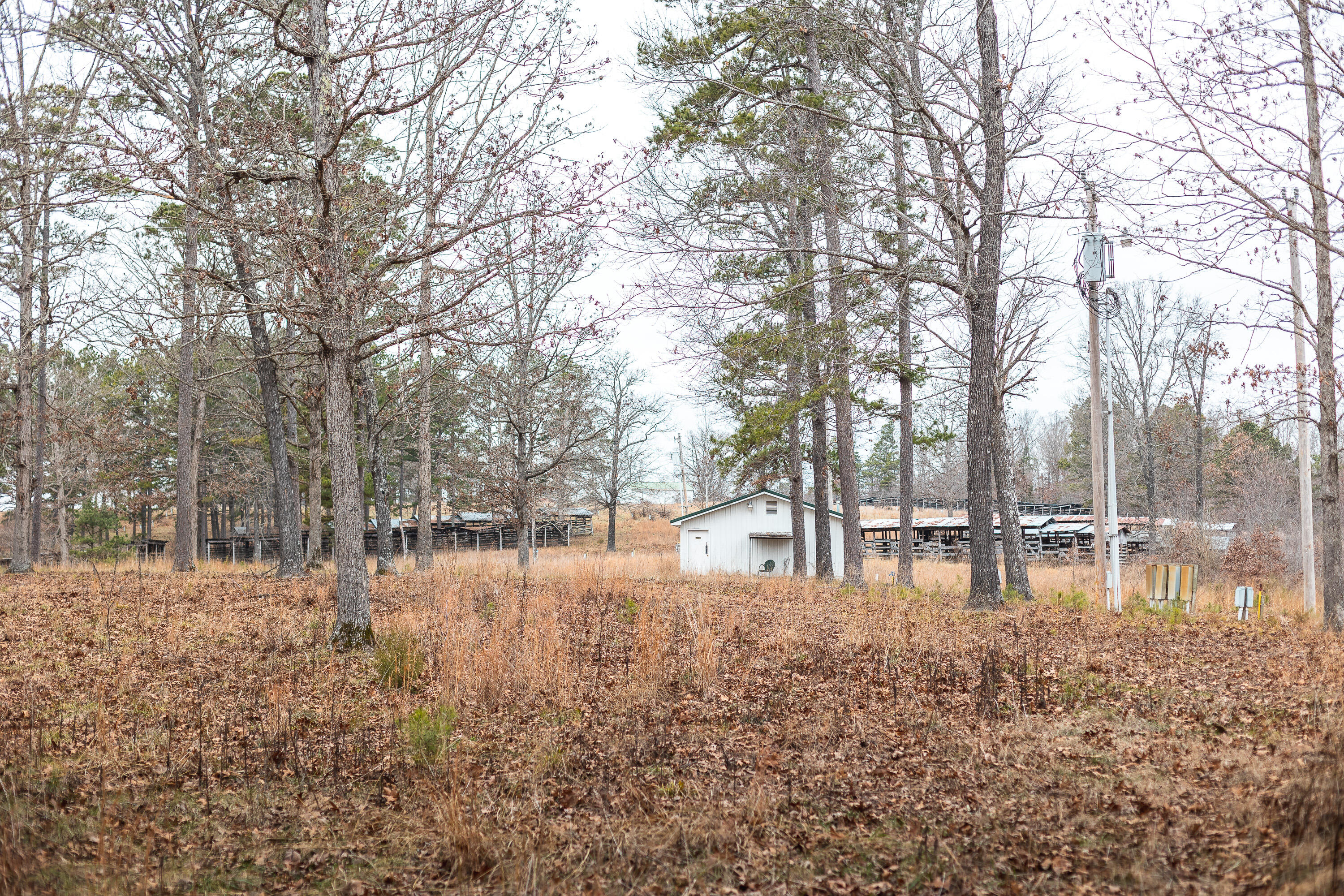 main property photo 39