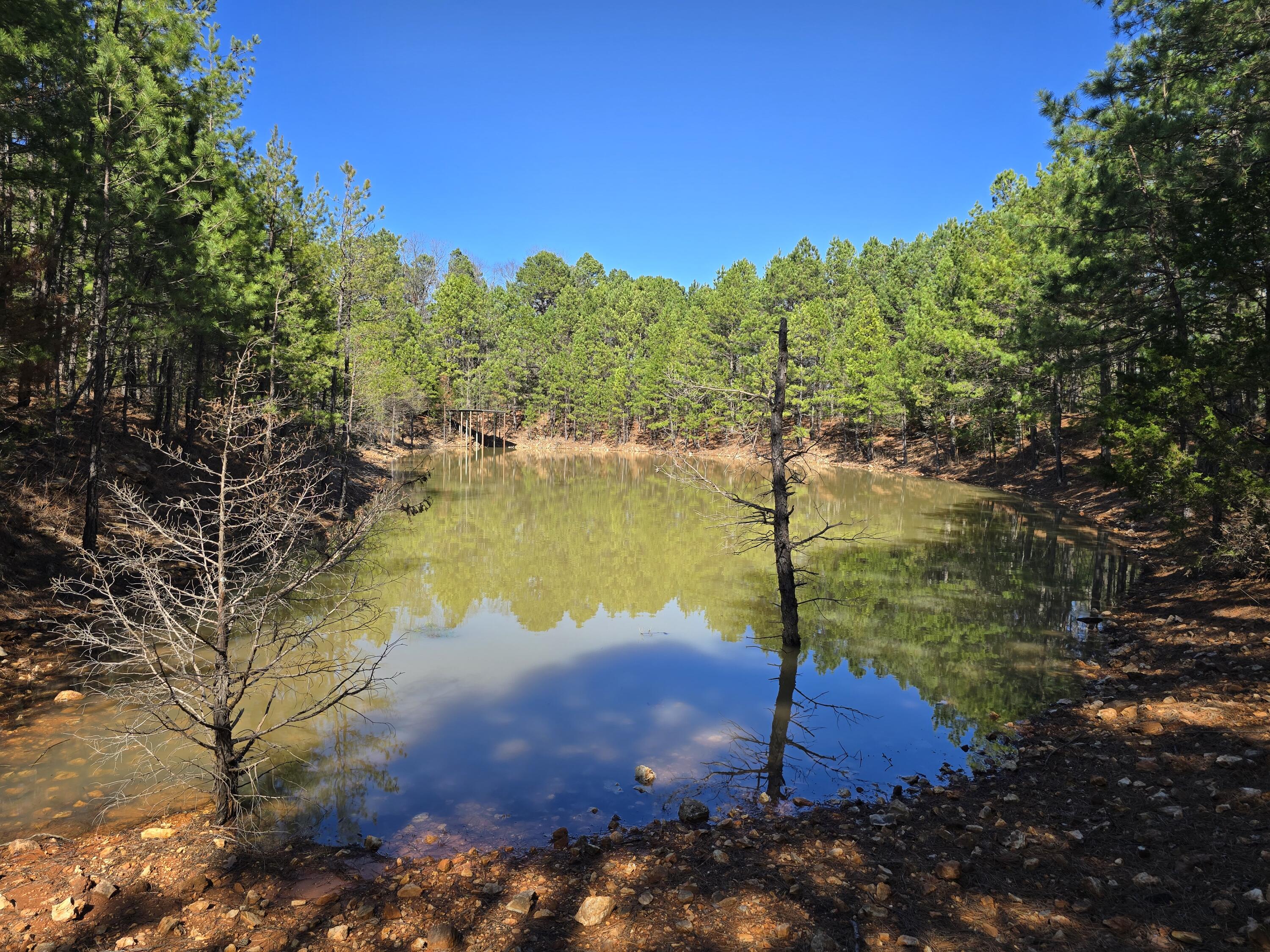 main property photo 46